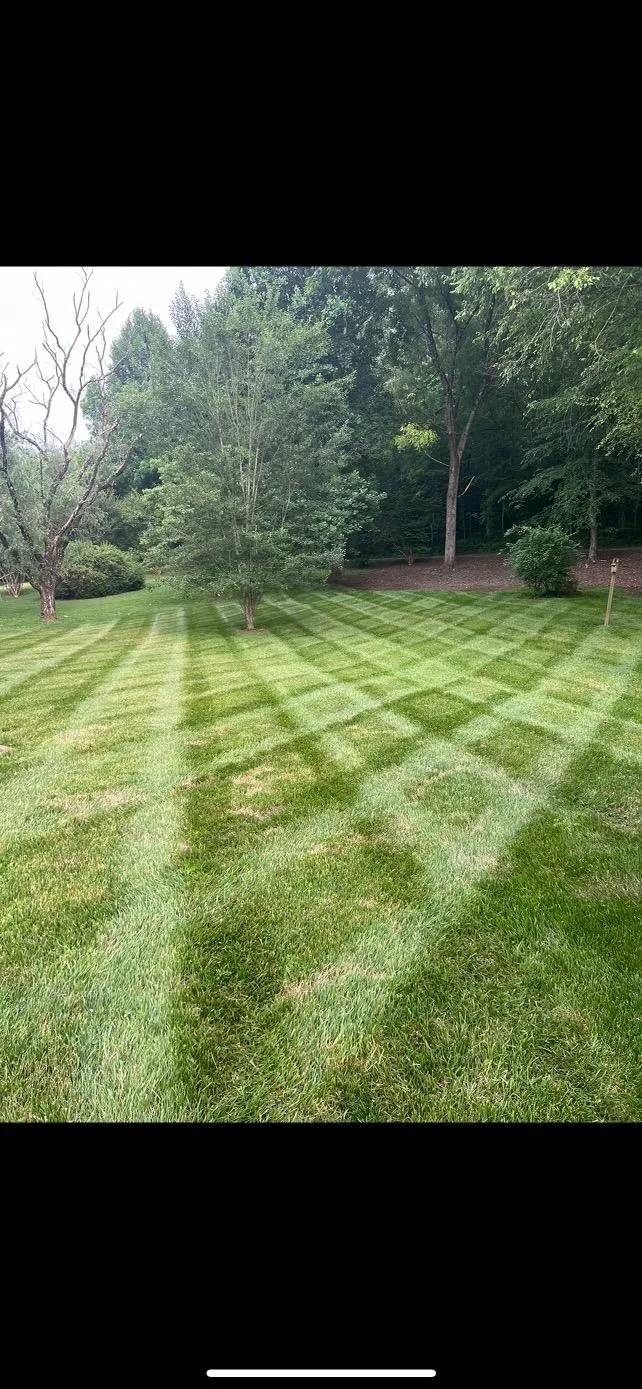 Mowing for Chatuge Outdoor Services in Hayesville, NC