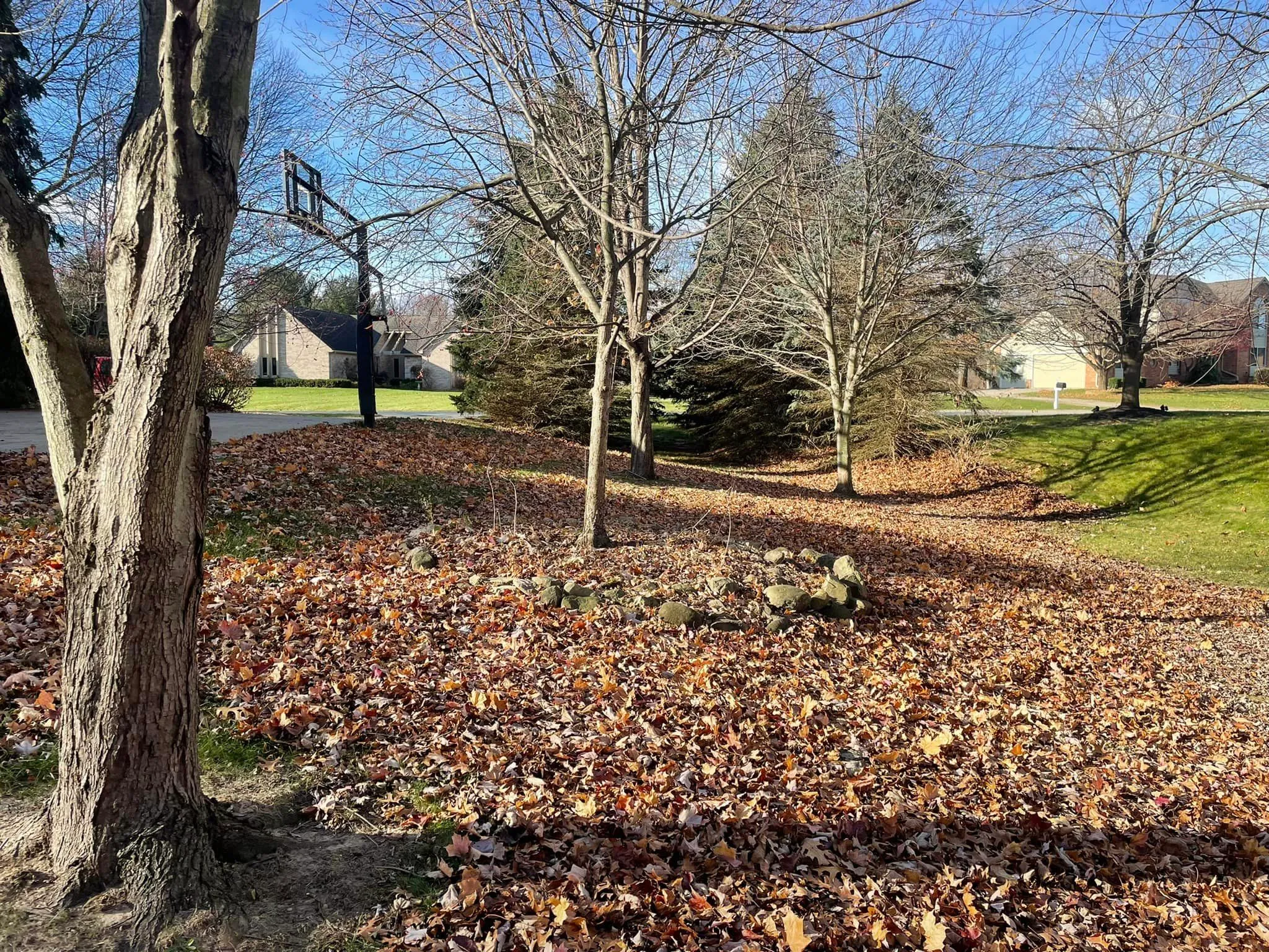 Fall and Spring Clean Up for Mckinzie Landscape in White Lake, MI