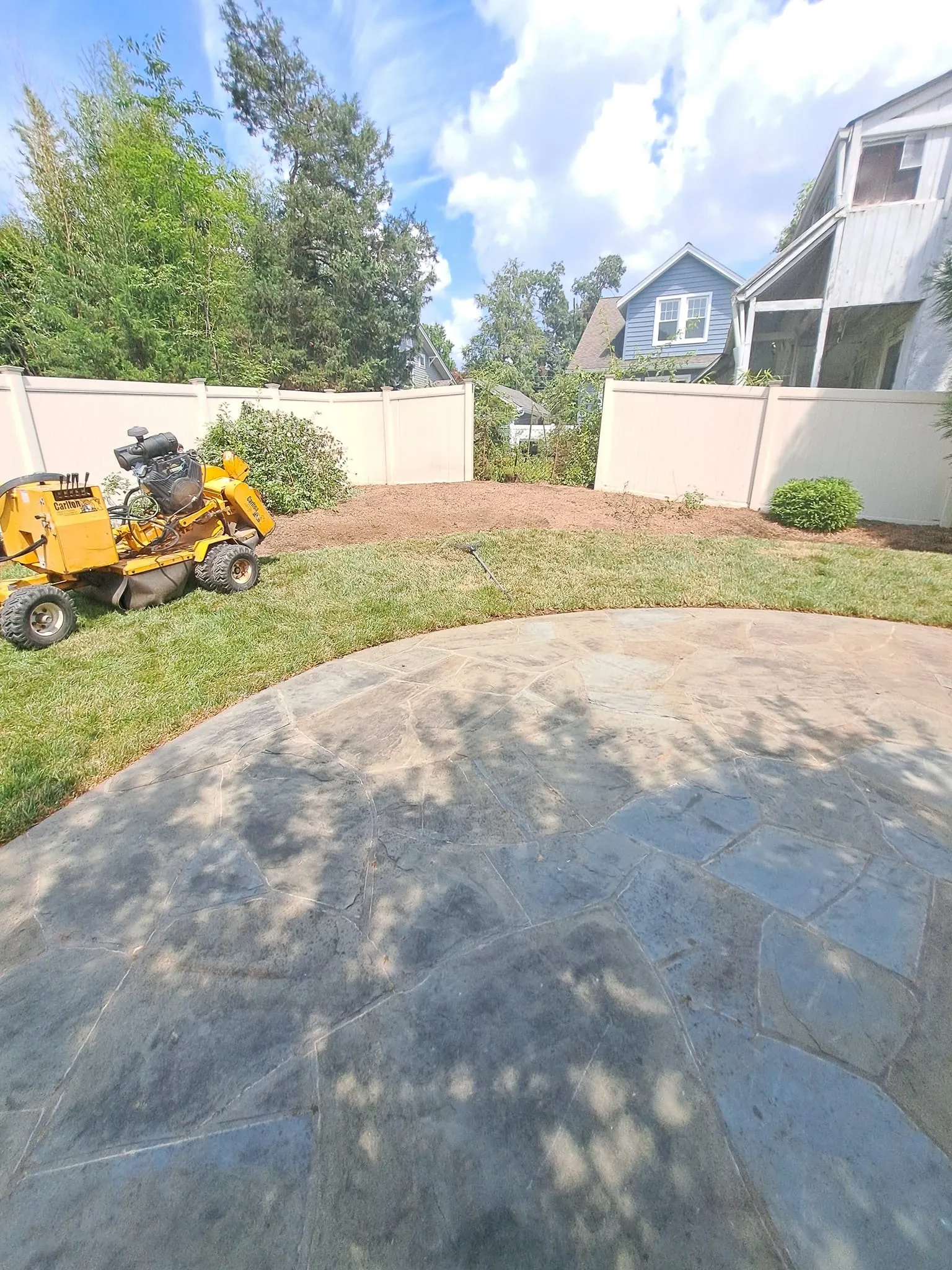 Tree Removal for Mario's Tree Service in Richmond, VA