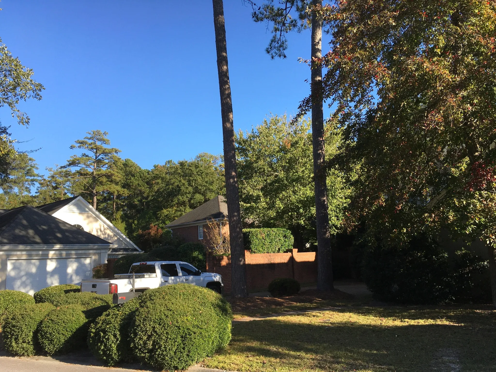 Tree Removal for Tucker's Tree Service and Stump Grinding in Lugoff, SC