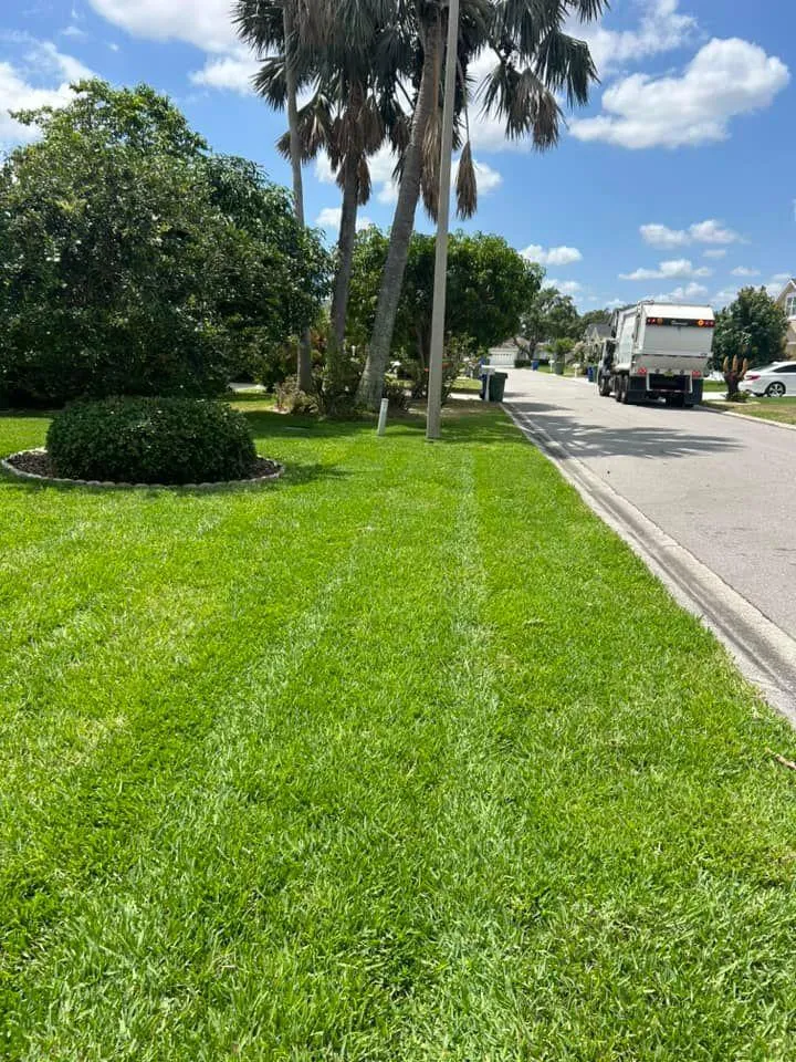 Fall and Spring Clean Up for Estrada All Pro Lawn Service in Auburndale, Florida