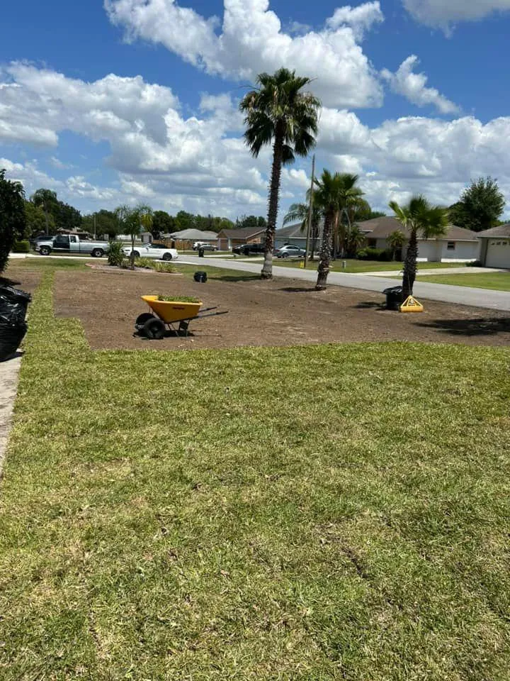 Fall and Spring Clean Up for Estrada All Pro Lawn Service in Auburndale, Florida