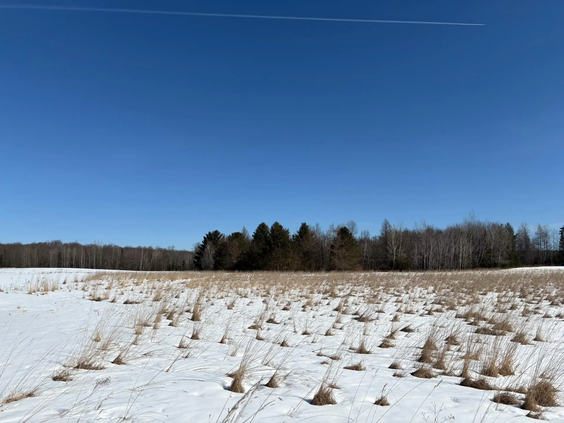 Lot 2 Highway 47 at Emma Praslowicz Century 21 Best Way Realty in Tomahawk, WI