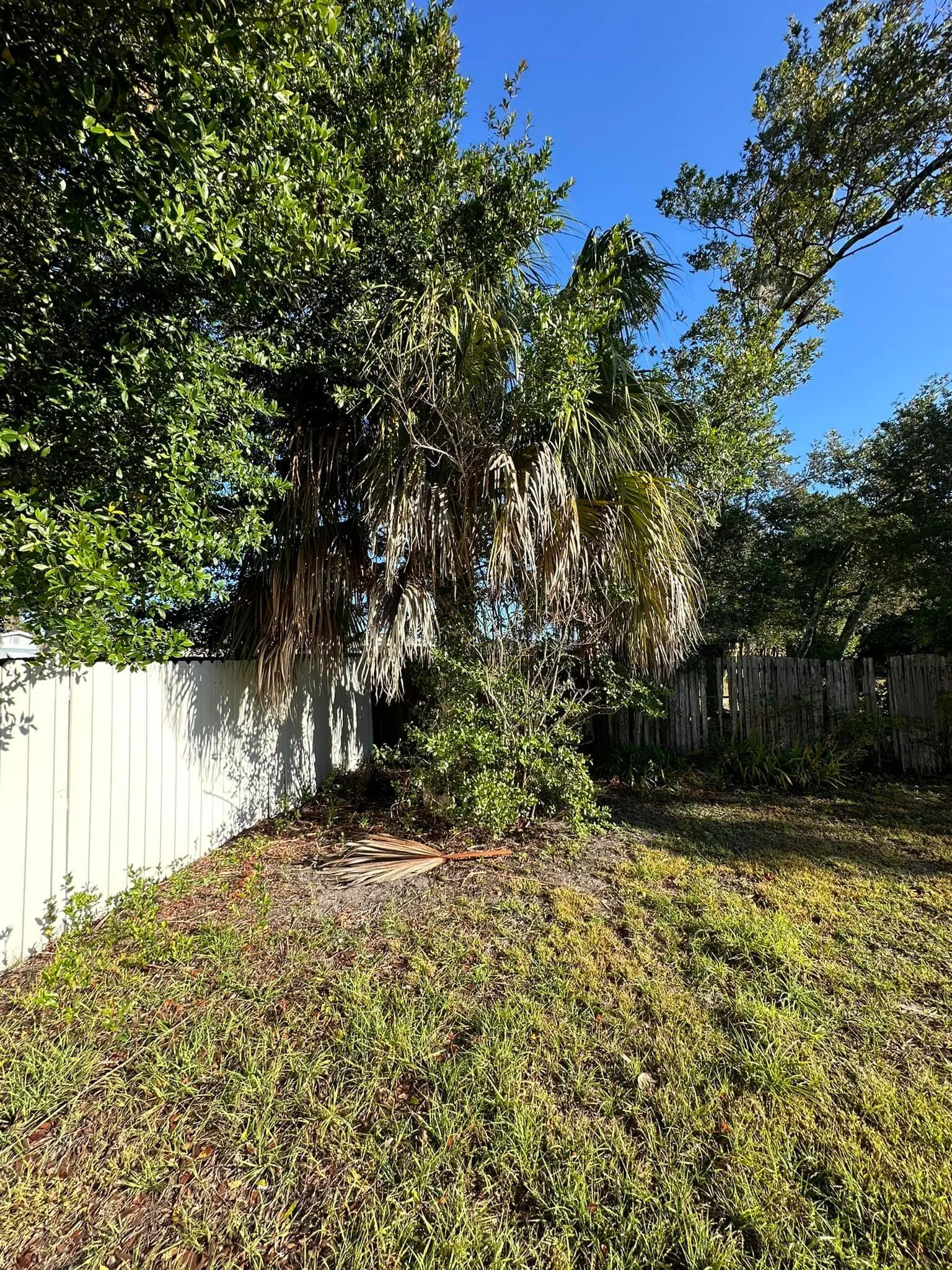 Fall and Spring Clean Up for Kramer & Son’s Property Maintenance in Hudson, FL