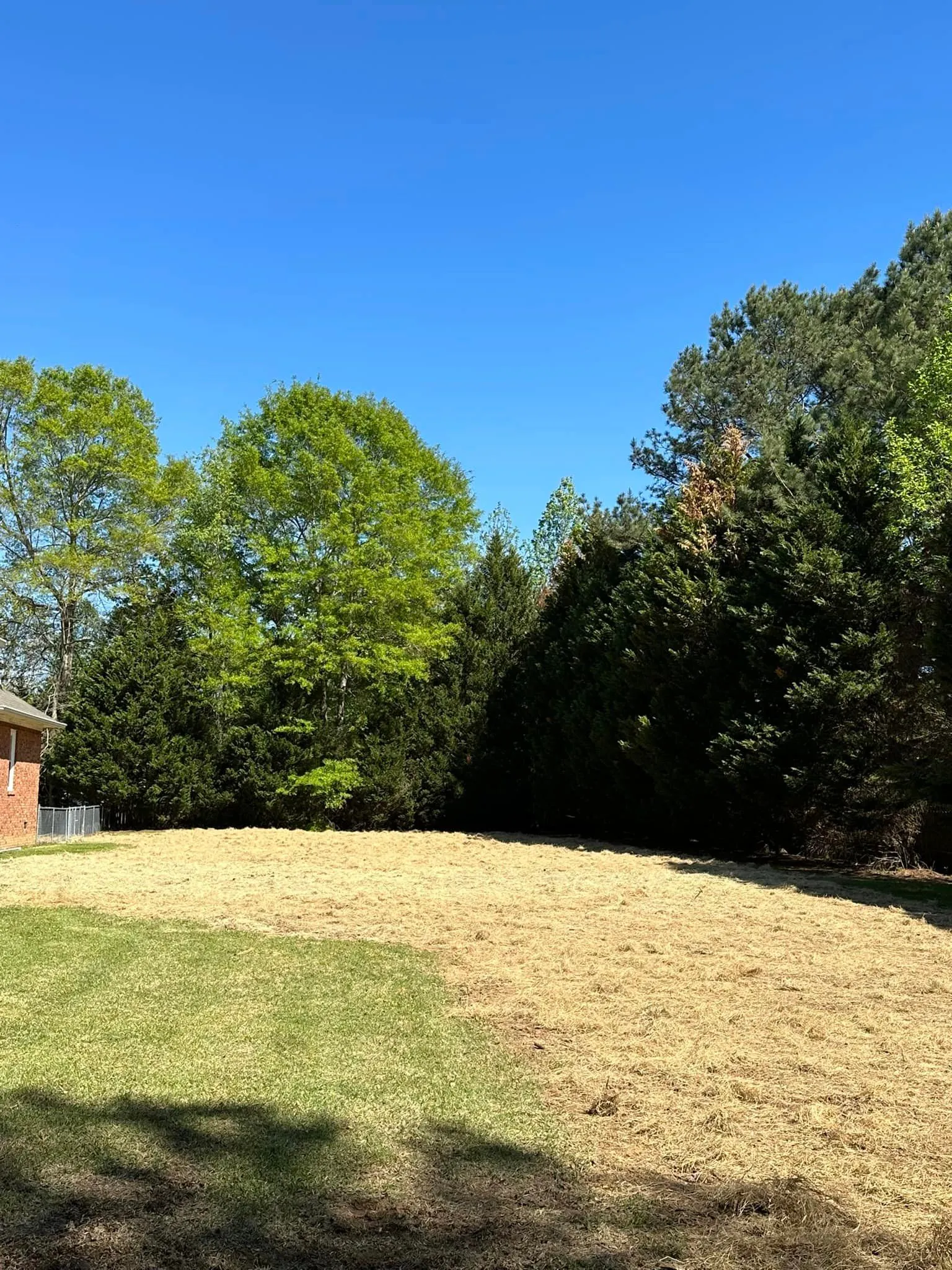 Mowing for Young’s Landscaping and Maintenance  in Jasper,  AL