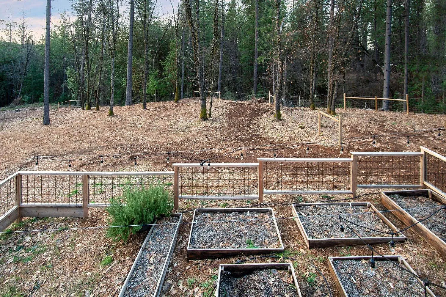 Land Clearing & Grinding for Home Hardening Solutions Inc. in Nevada County, CA