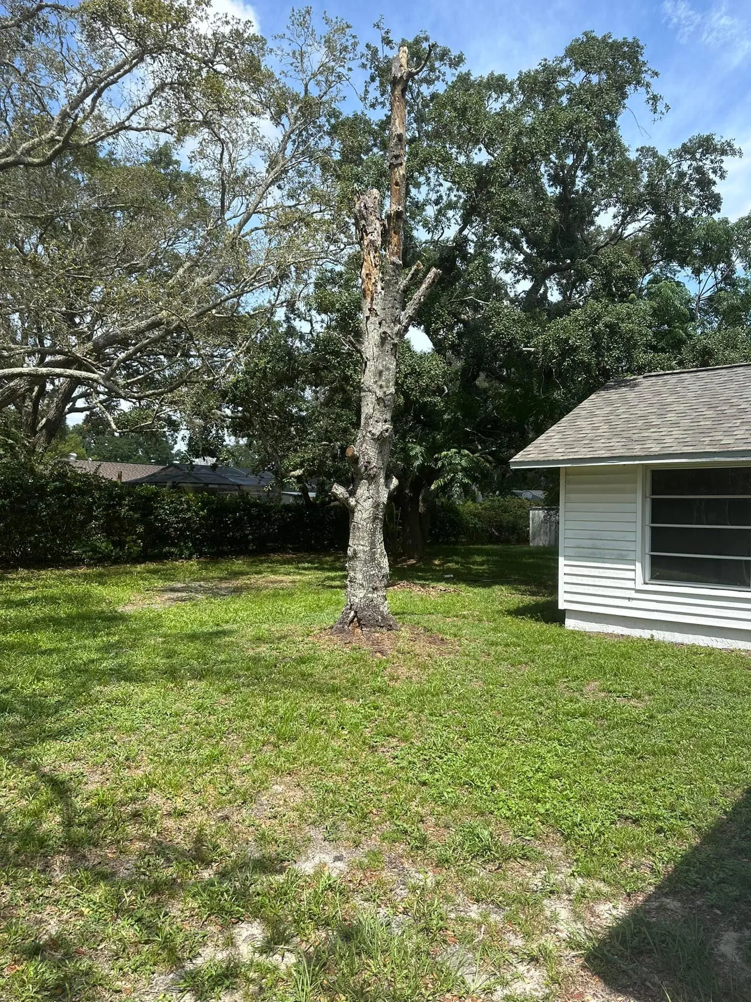 Fall and Spring Clean Up for Kramer & Son’s Property Maintenance in Hudson, FL