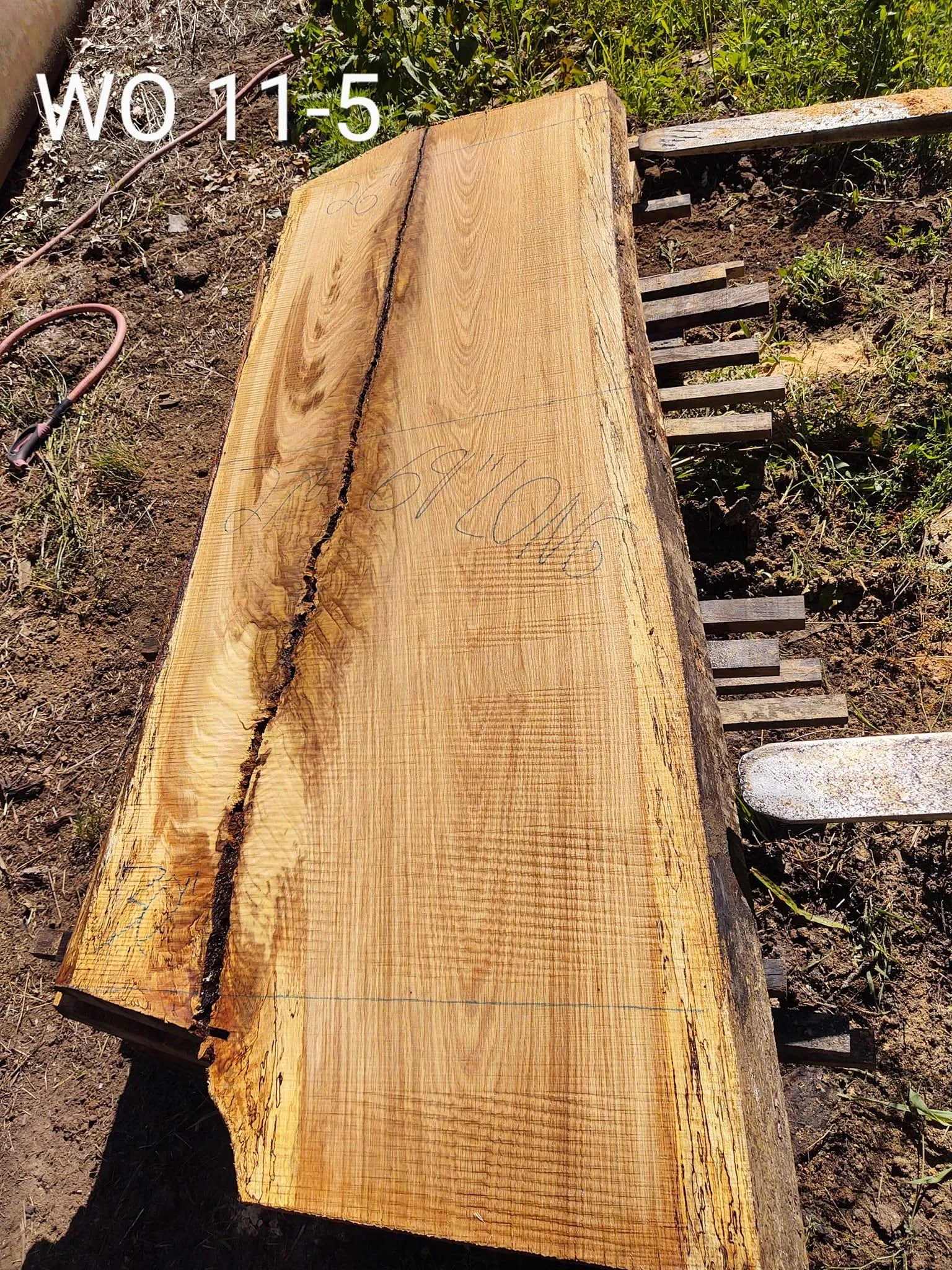 Logging for Bennett Logging in Gosport, Indiana