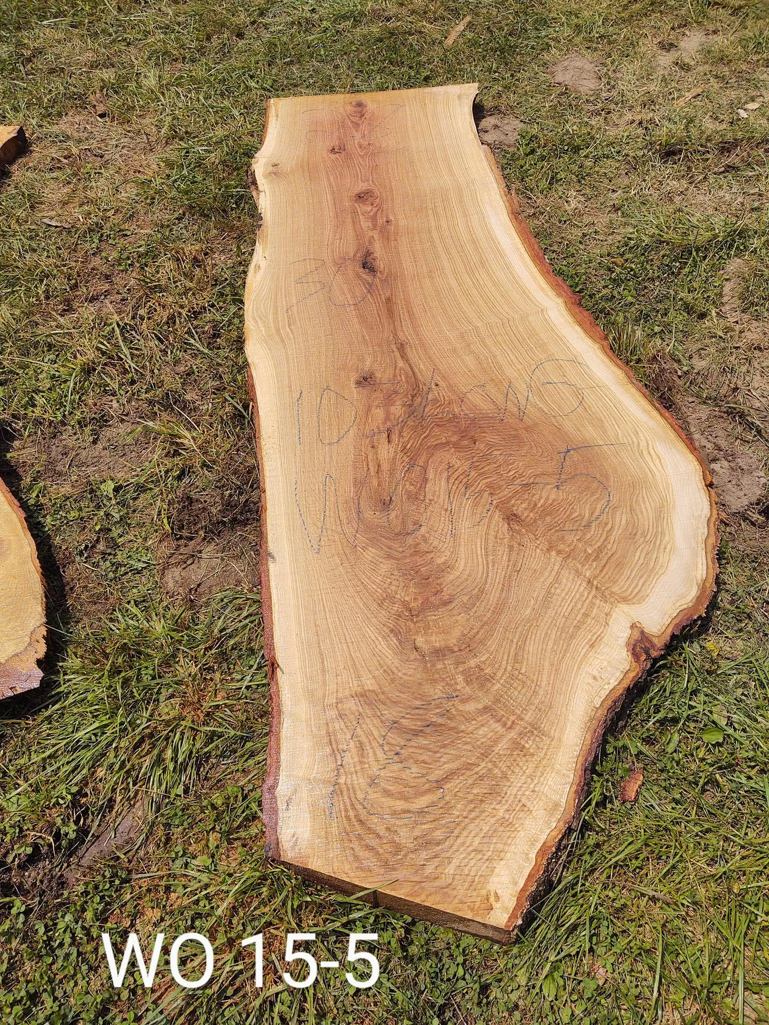 Logging for Bennett Logging in Gosport, Indiana