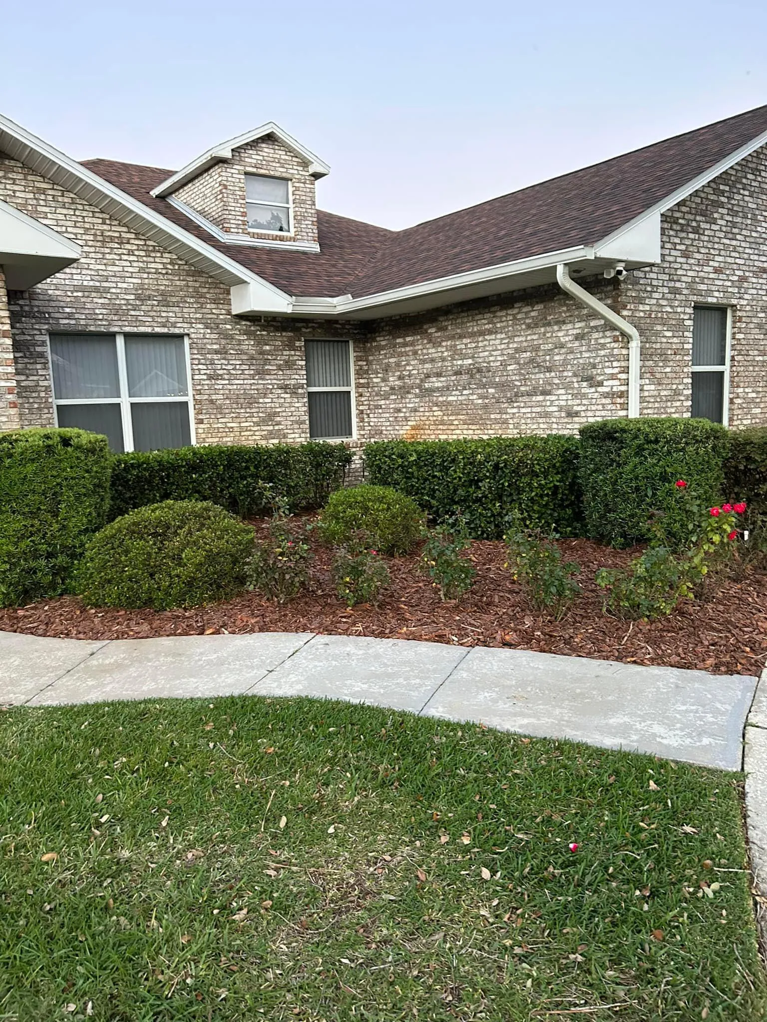 Fall and Spring Clean Up for Estrada All Pro Lawn Service in Auburndale, Florida