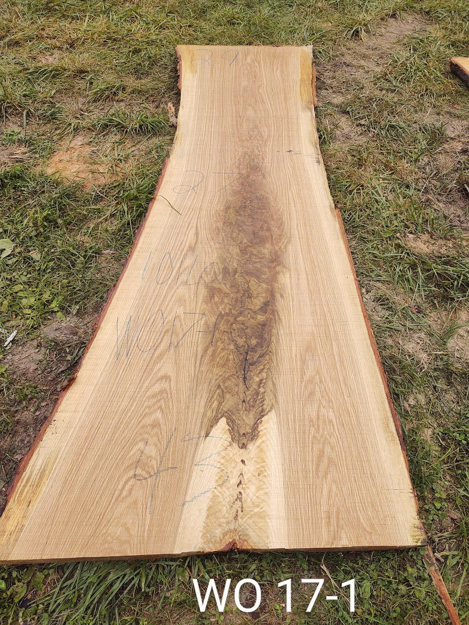 Logging for Bennett Logging in Gosport, Indiana