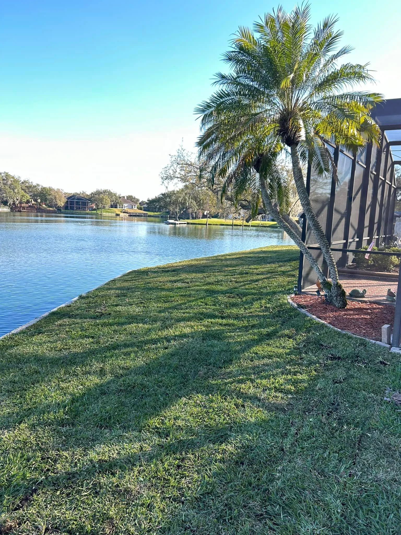 Fall and Spring Clean Up for Estrada All Pro Lawn Service in Auburndale, Florida