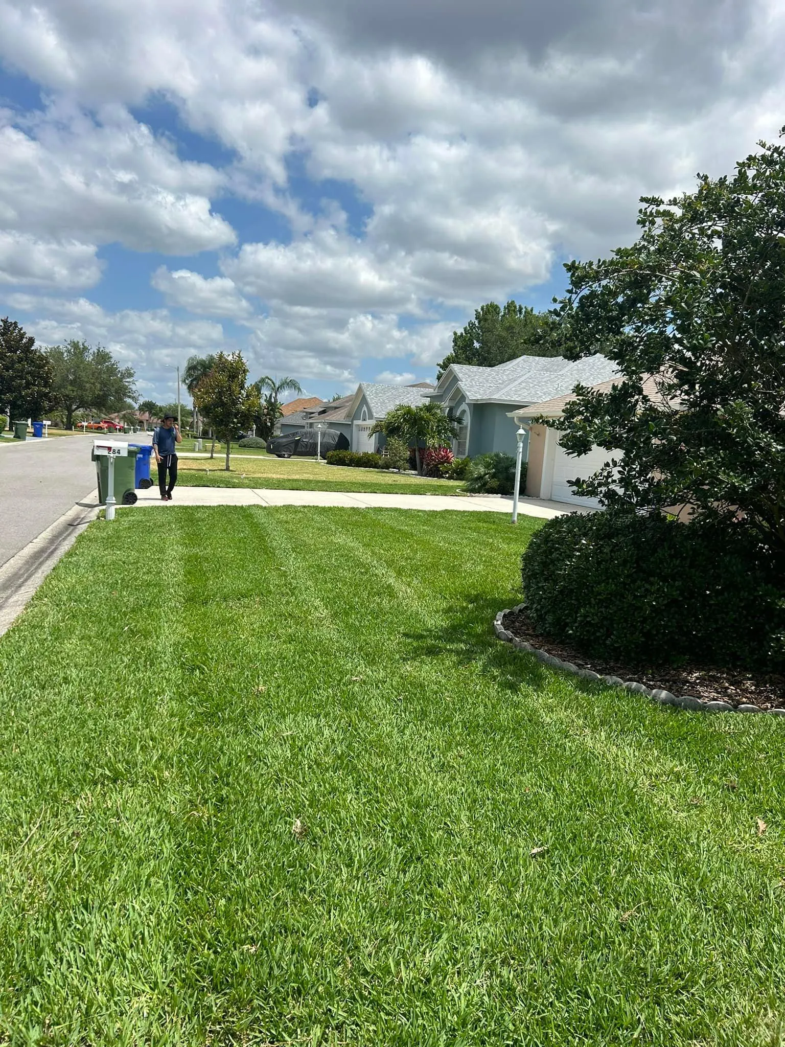 Fall and Spring Clean Up for Estrada All Pro Lawn Service in Auburndale, Florida