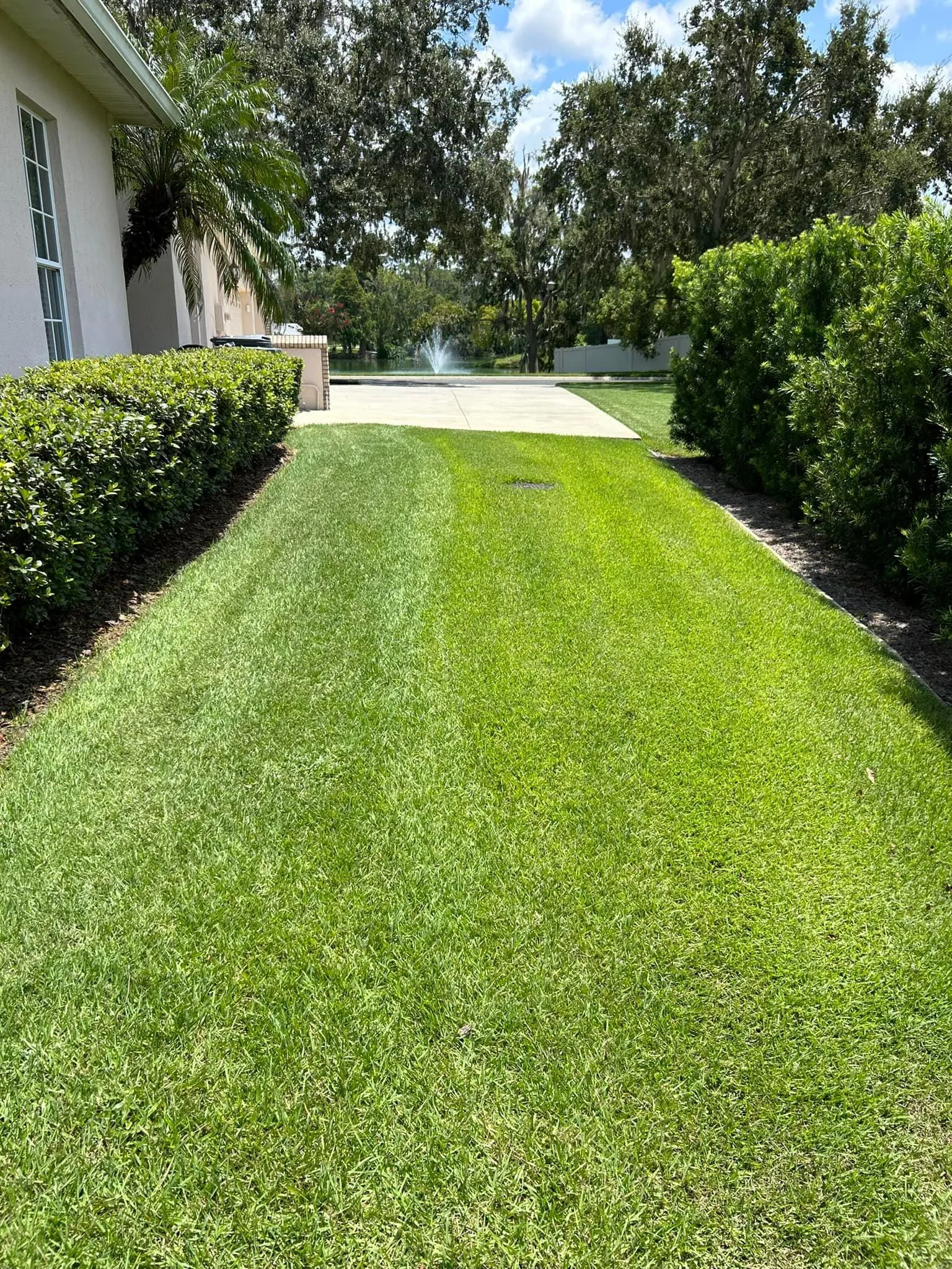 Fall and Spring Clean Up for Estrada All Pro Lawn Service in Auburndale, Florida