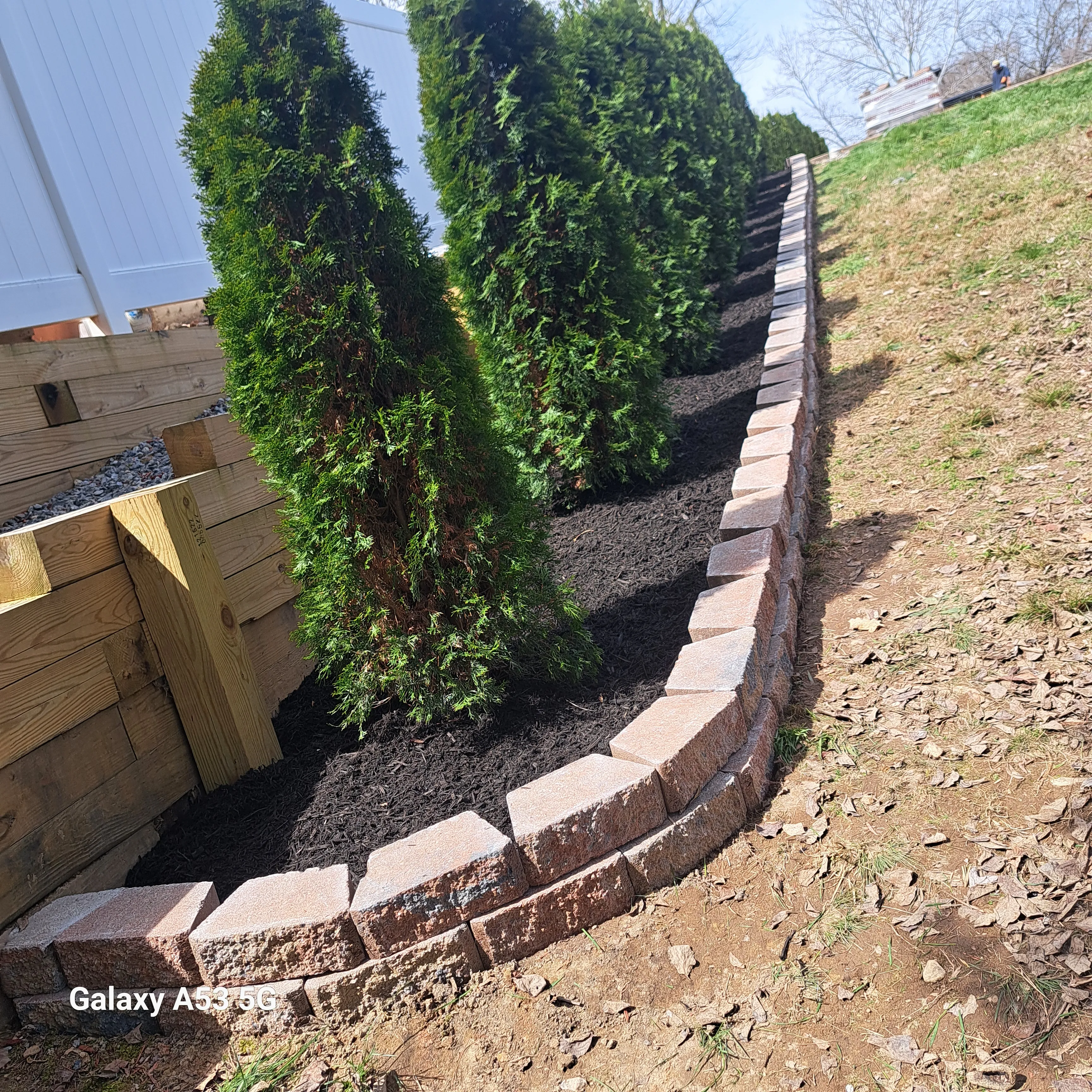 Tree Removal for Mario's Tree Service in Richmond, VA