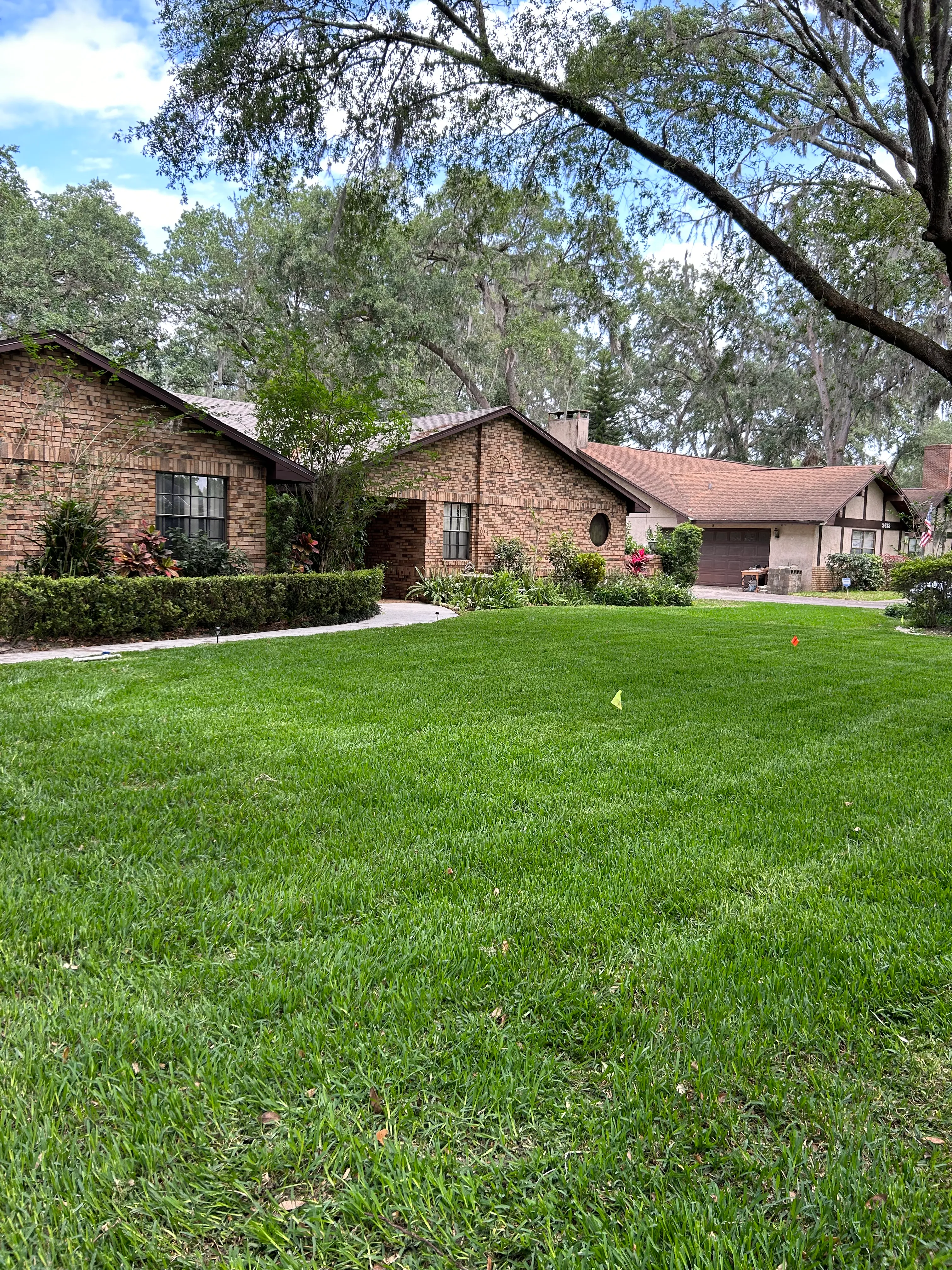 Fall and Spring Clean Up for Estrada All Pro Lawn Service in Auburndale, Florida