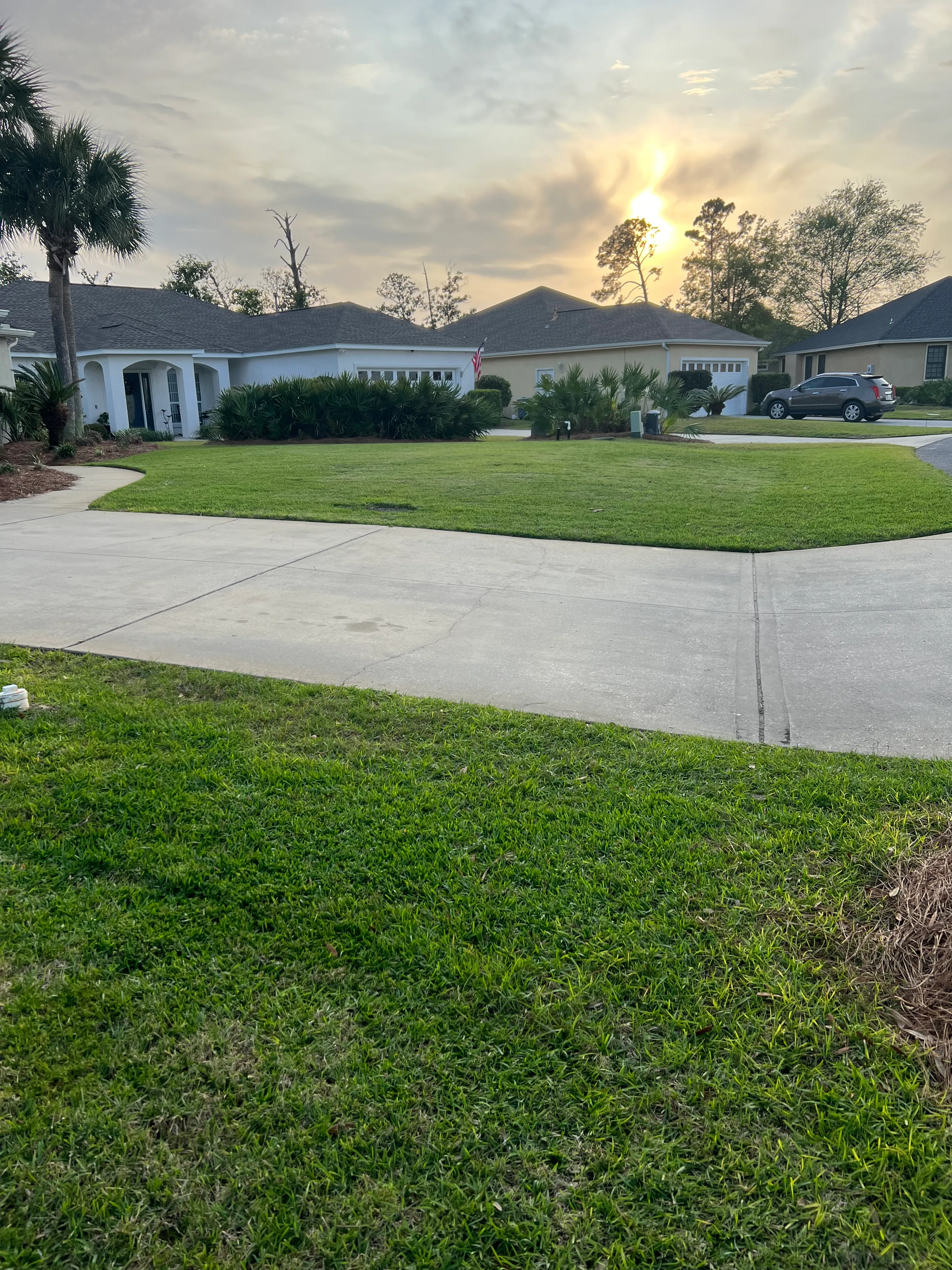 Mowing for Lawn Dog Mowing and Lawn Services in Panama City, FL