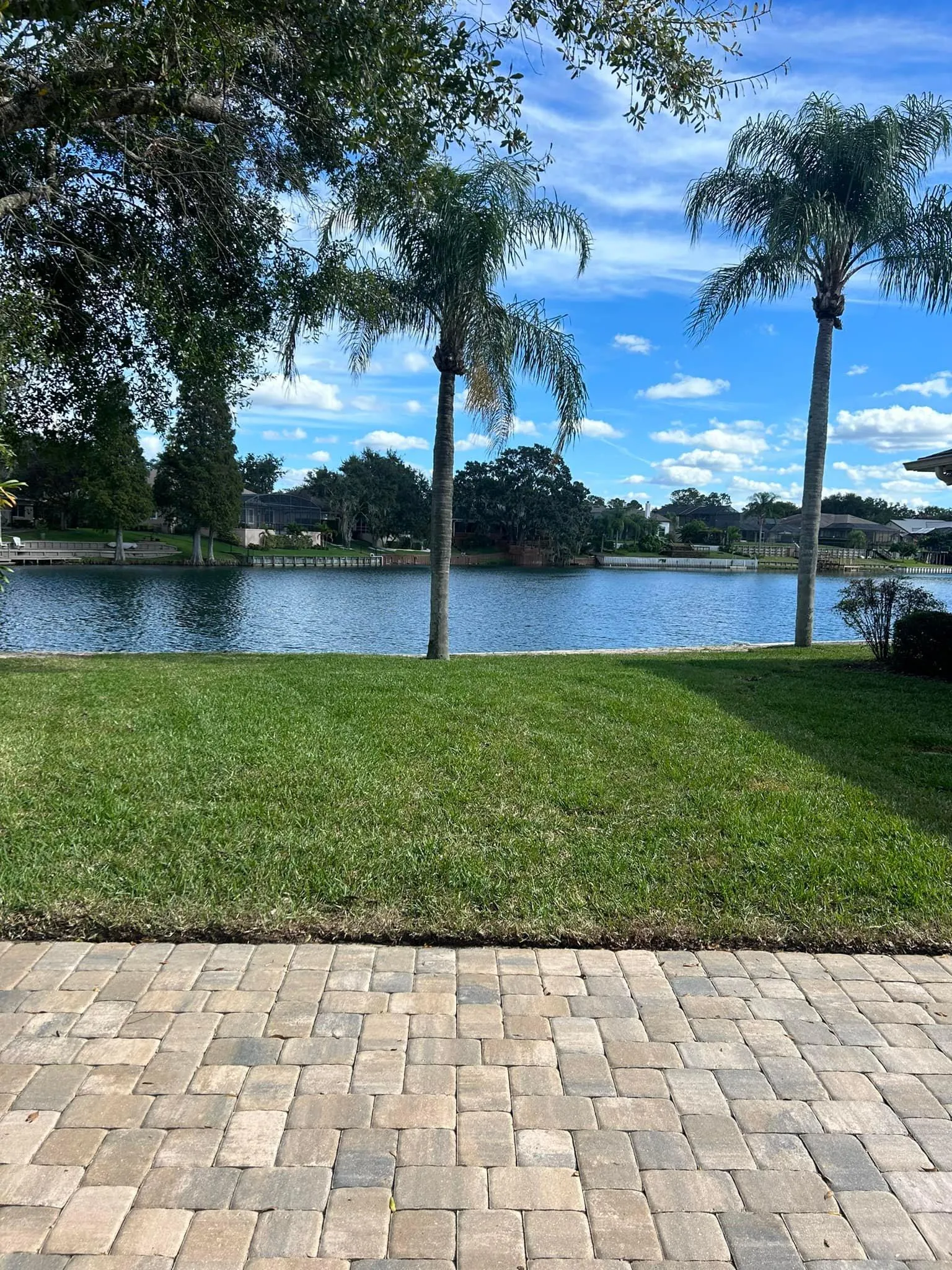 Fall and Spring Clean Up for Estrada All Pro Lawn Service in Auburndale, Florida