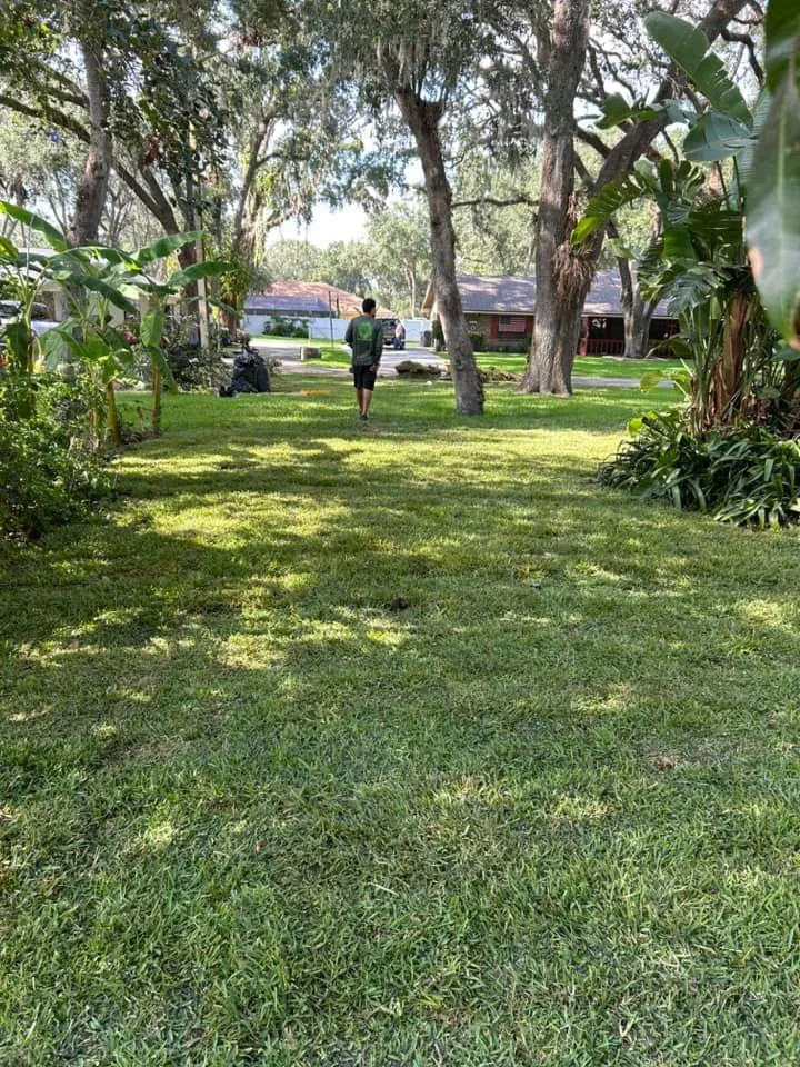 Fall and Spring Clean Up for Estrada All Pro Lawn Service in Auburndale, Florida