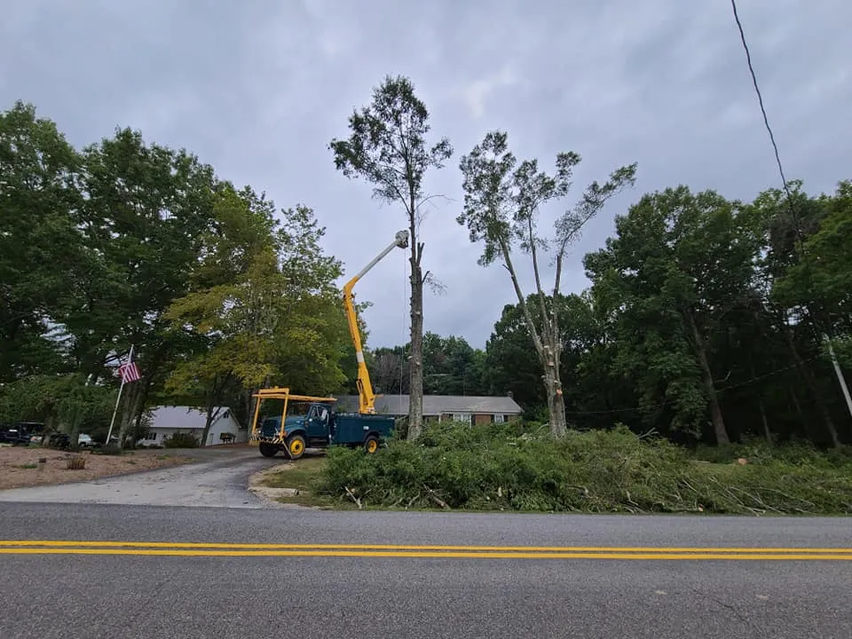 Tree Trimming for Smitty's Tree Service in Danville, VA