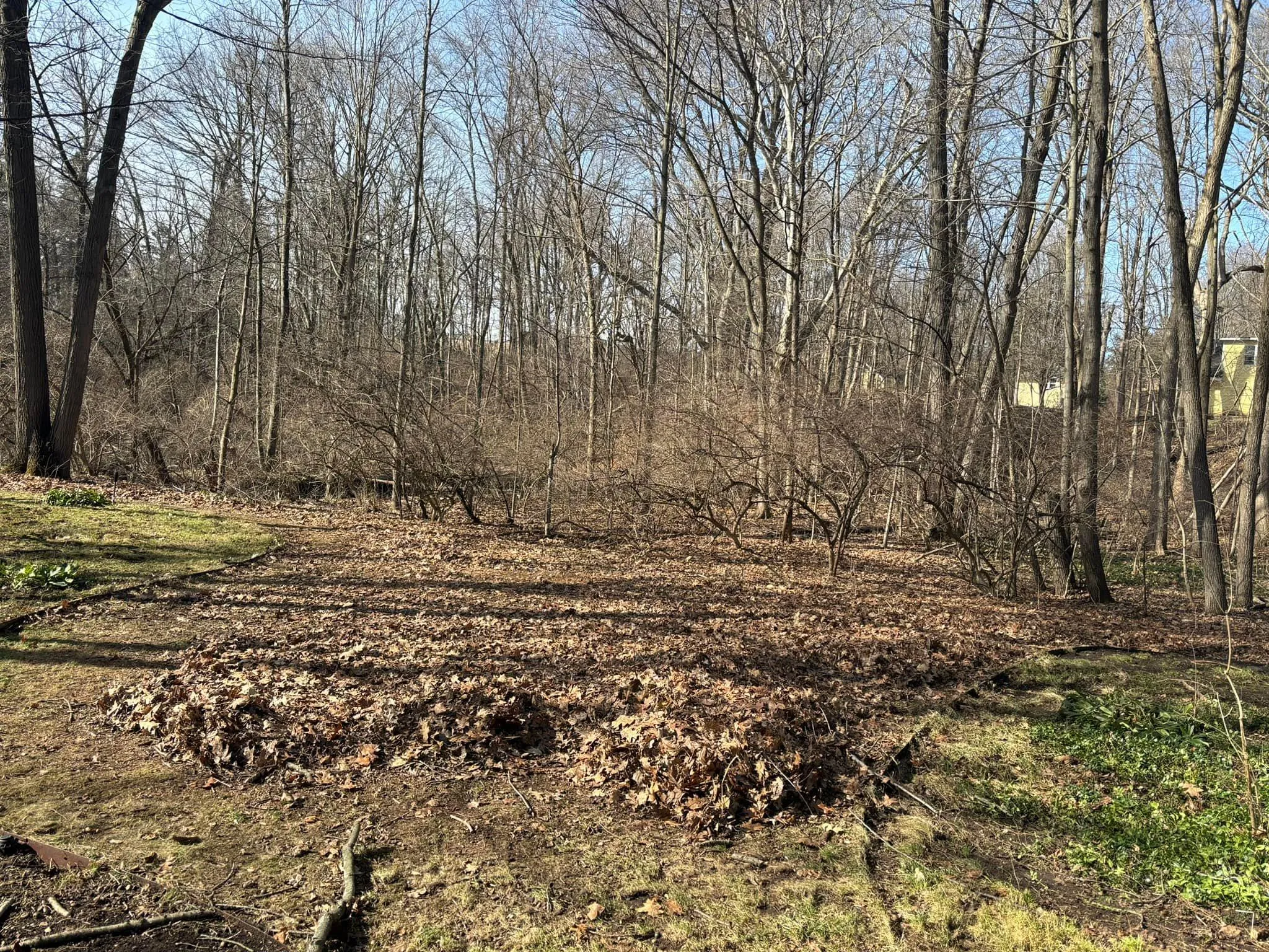 Fall and Spring Clean Up for Mckinzie Landscape in White Lake, MI