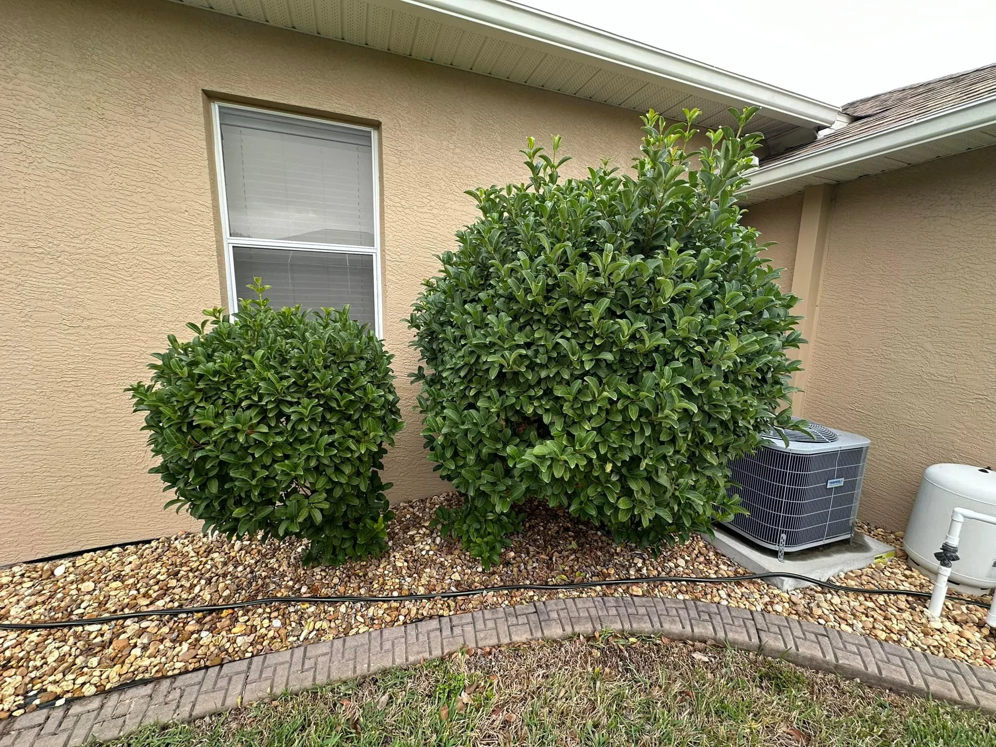 Fall and Spring Clean Up for Kramer & Son’s Property Maintenance in Hudson, FL