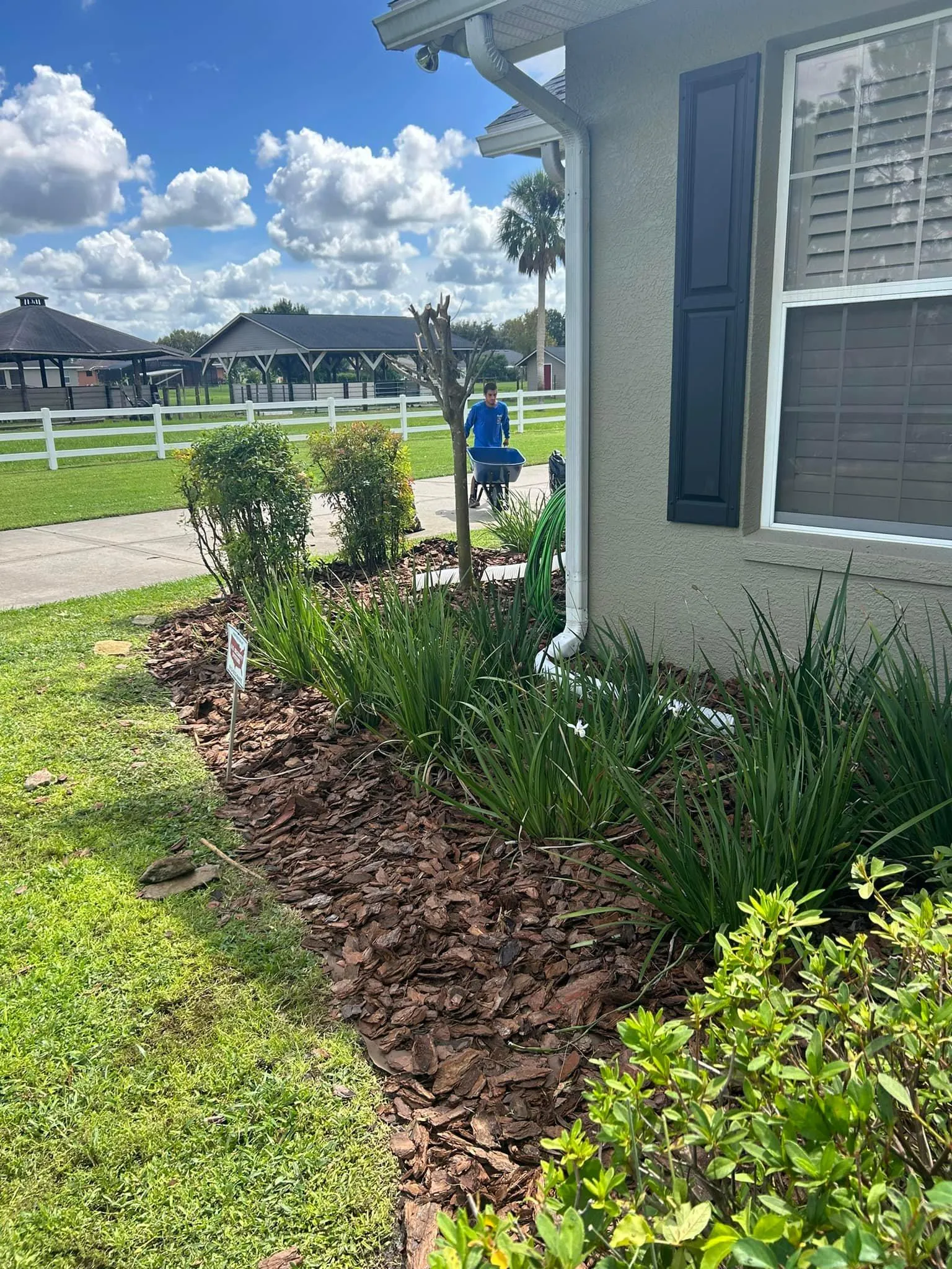 Fall and Spring Clean Up for Estrada All Pro Lawn Service in Auburndale, Florida