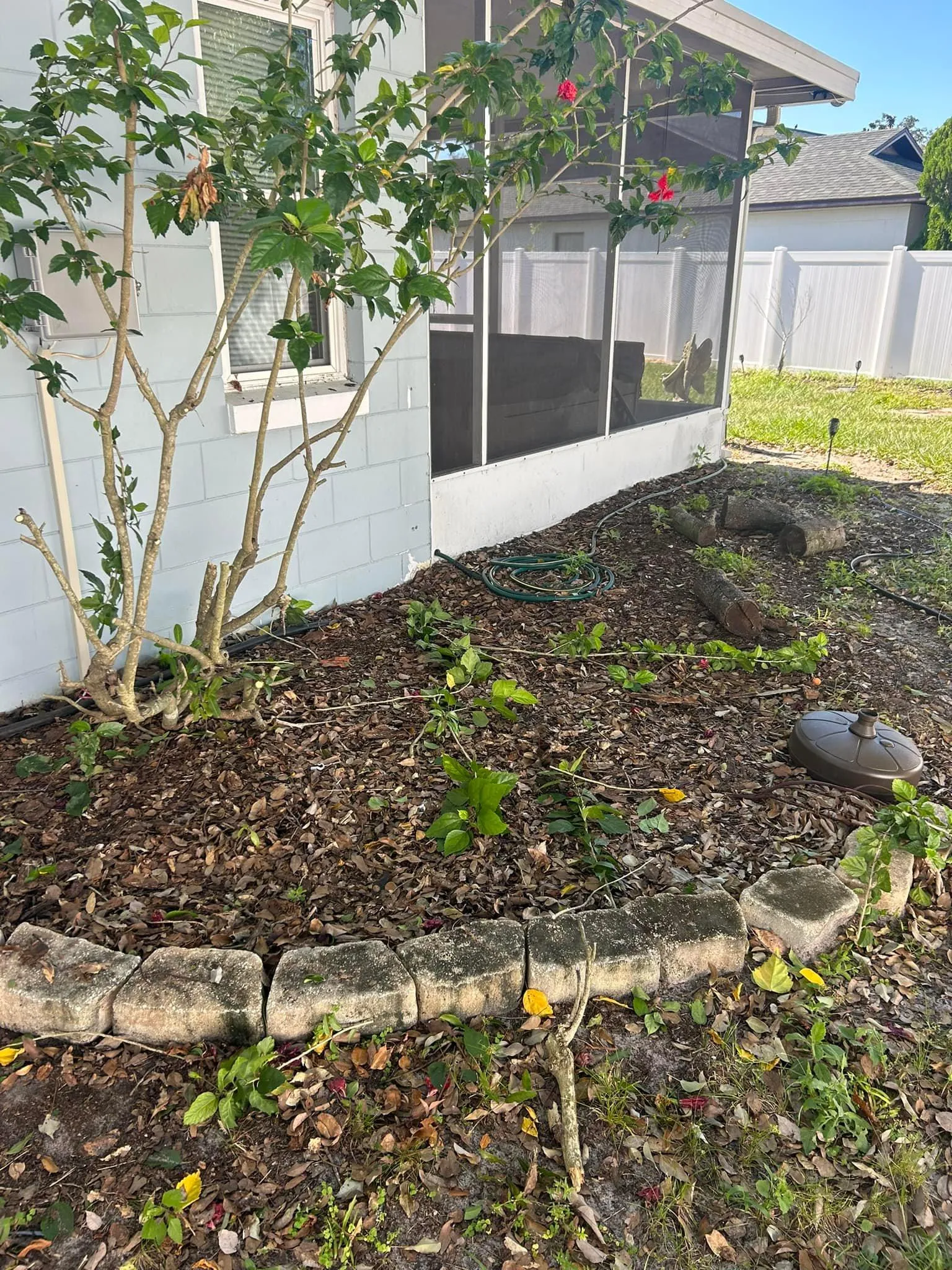 Fall and Spring Clean Up for Estrada All Pro Lawn Service in Auburndale, Florida