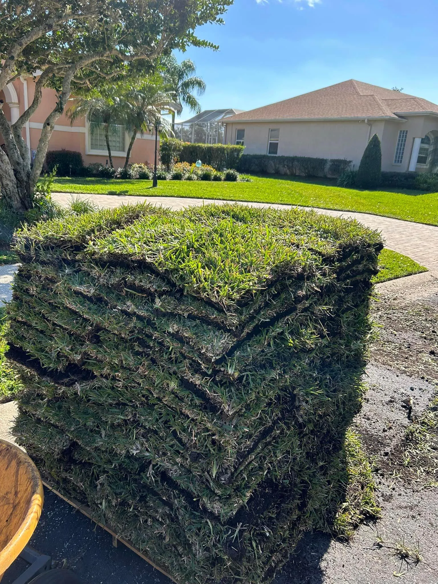 Fall and Spring Clean Up for Estrada All Pro Lawn Service in Auburndale, Florida