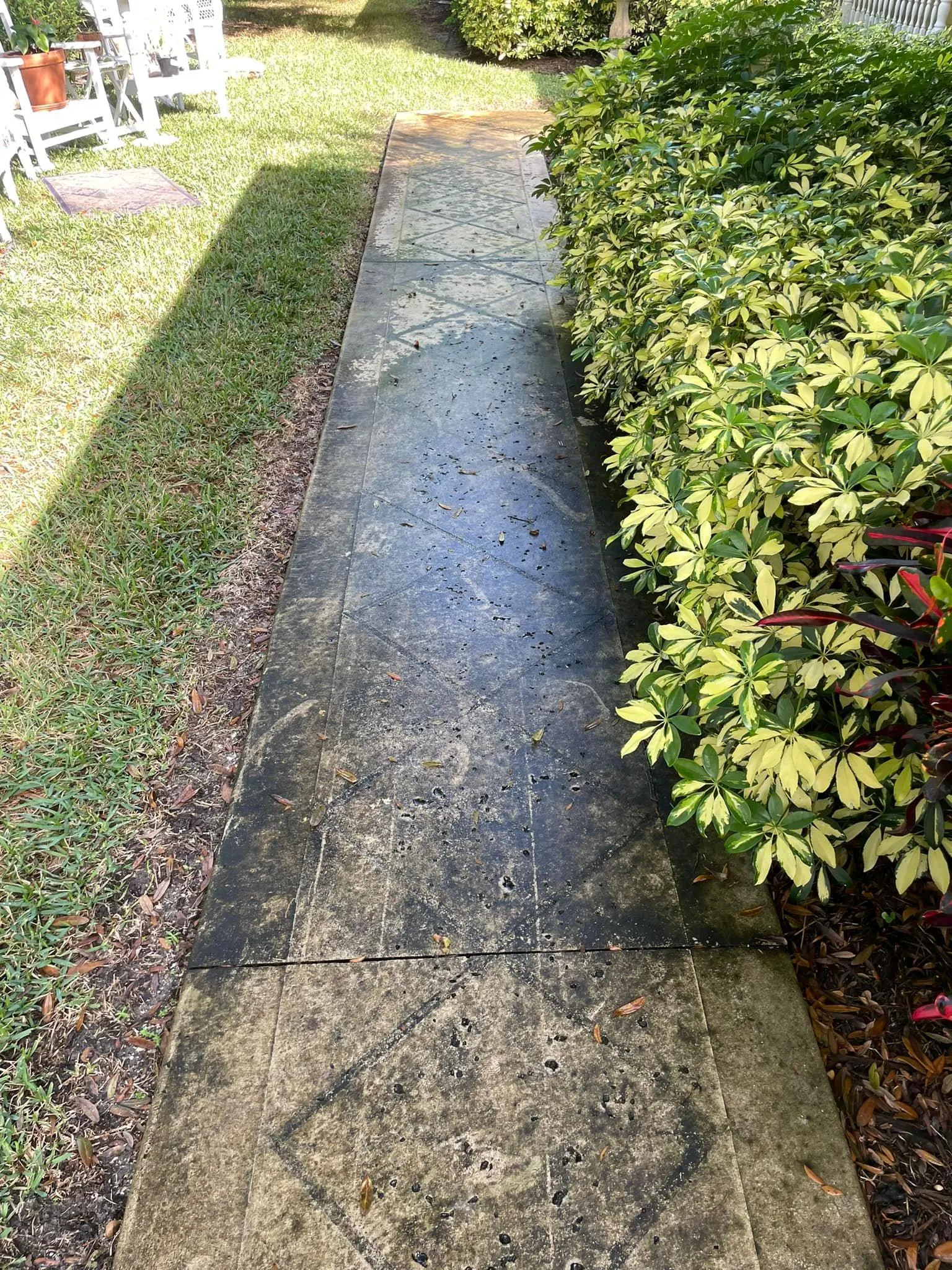 Home Softwash for C & C Pressure Washing in Port Saint Lucie, FL