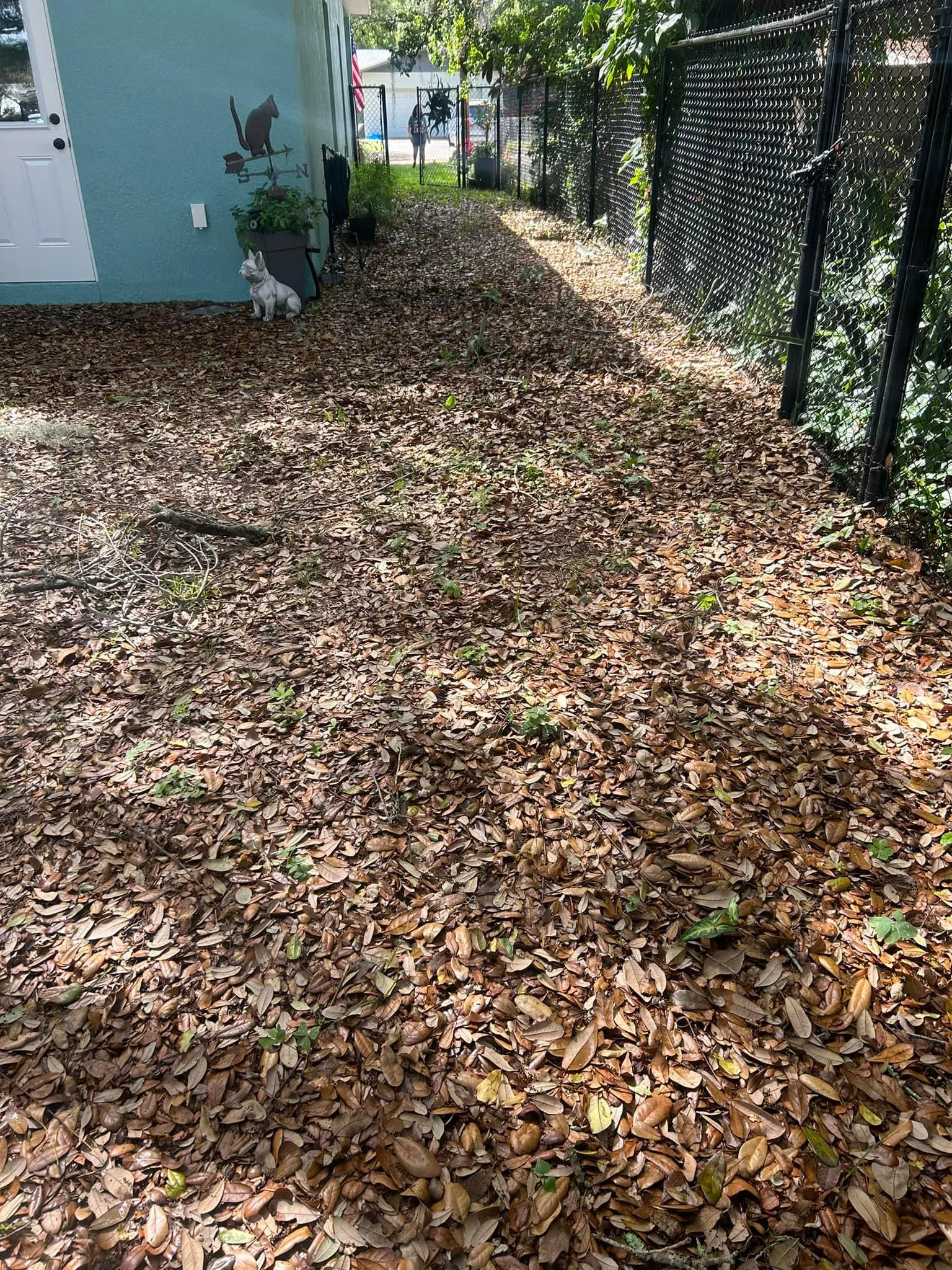 Fall and Spring Clean Up for Estrada All Pro Lawn Service in Auburndale, Florida