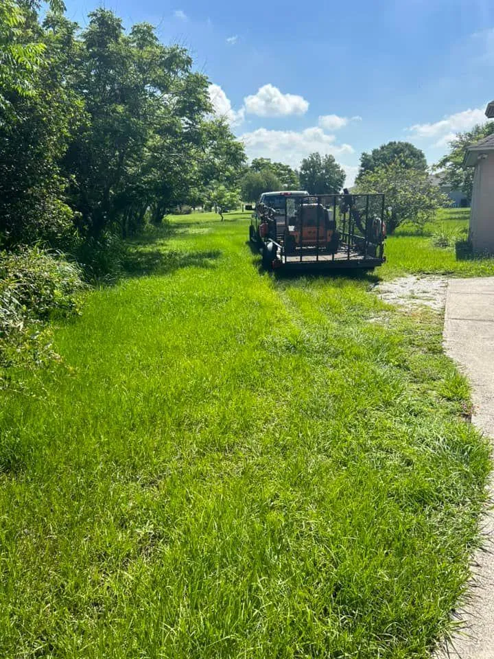 Fall and Spring Clean Up for Estrada All Pro Lawn Service in Auburndale, Florida