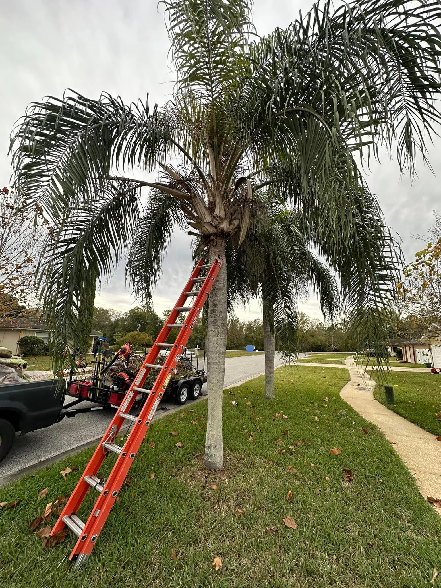 Fall and Spring Clean Up for Kramer & Son’s Property Maintenance in Hudson, FL