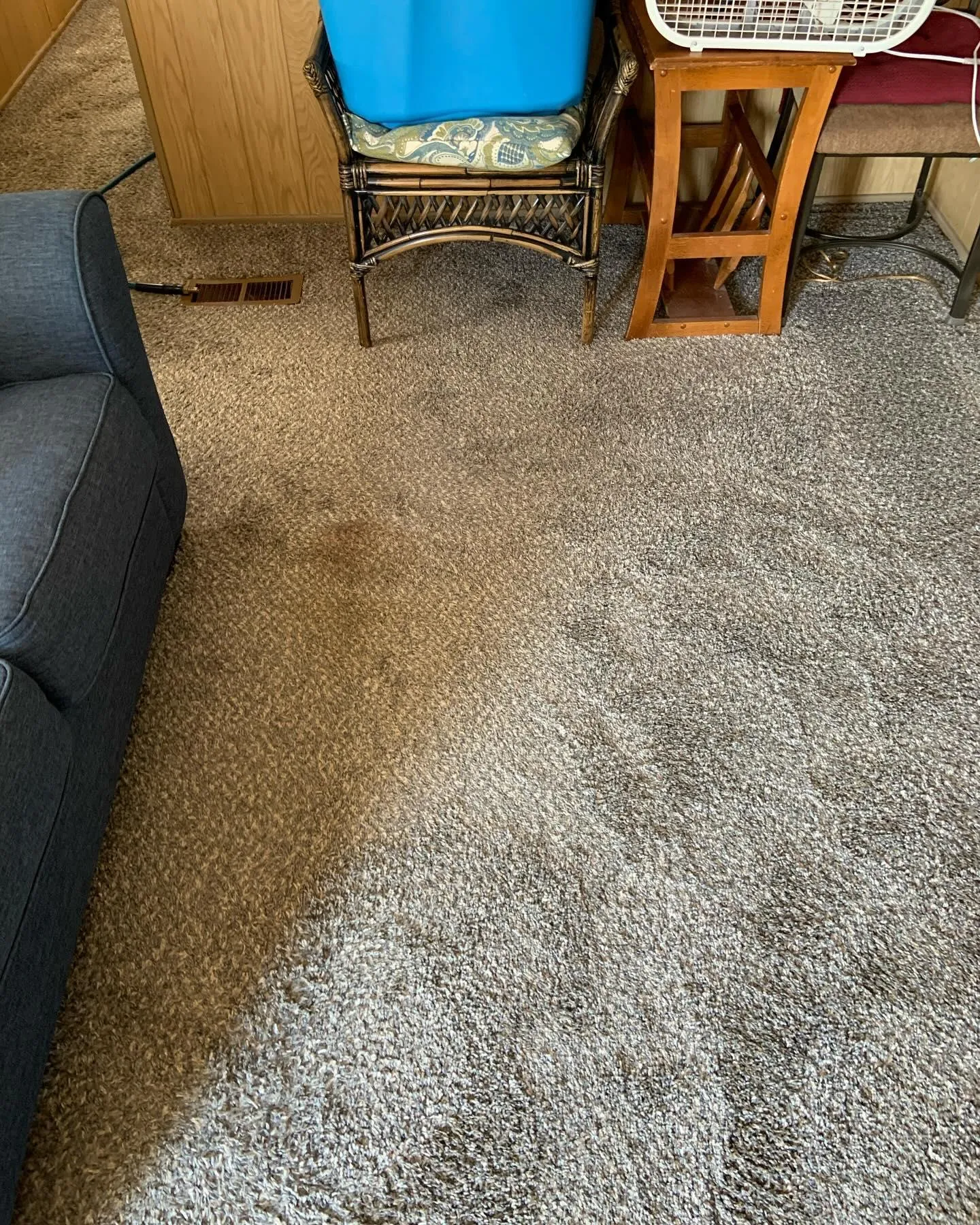 Carpet Cleaning for Randy’s Janitorial in Vallejo, CA