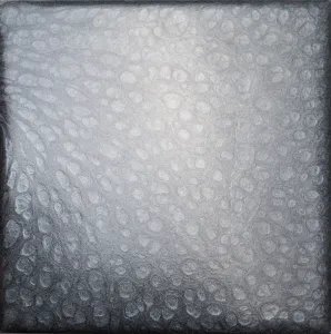 Light Gray at Floorworx in Westchester County, NY