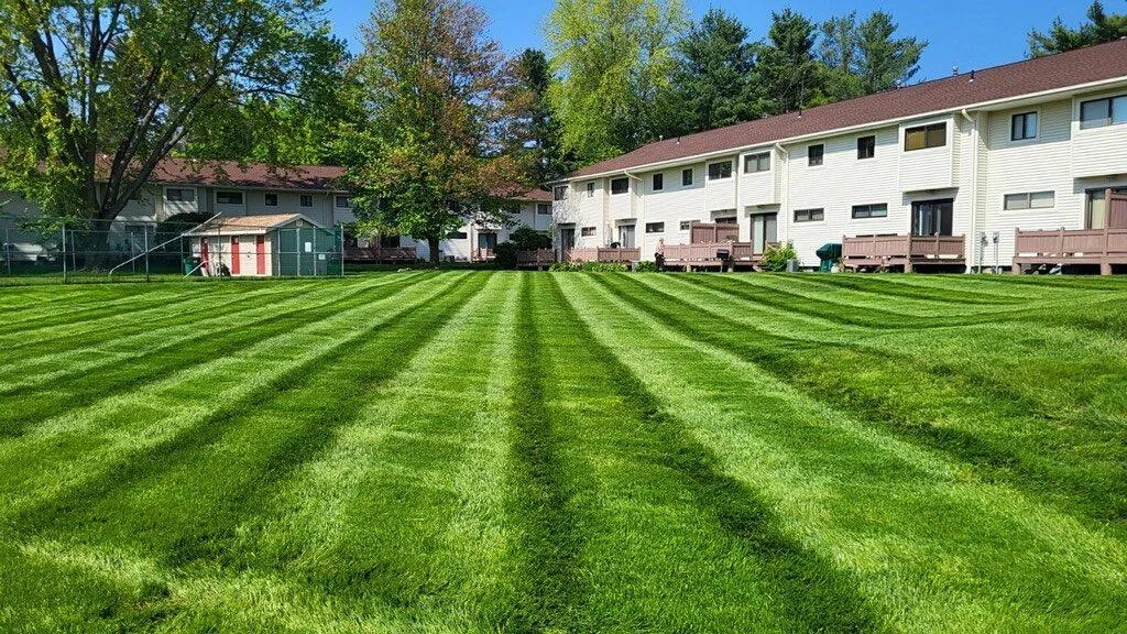 Residential Snow Plowing for B&L Management LLC in East Windsor, CT