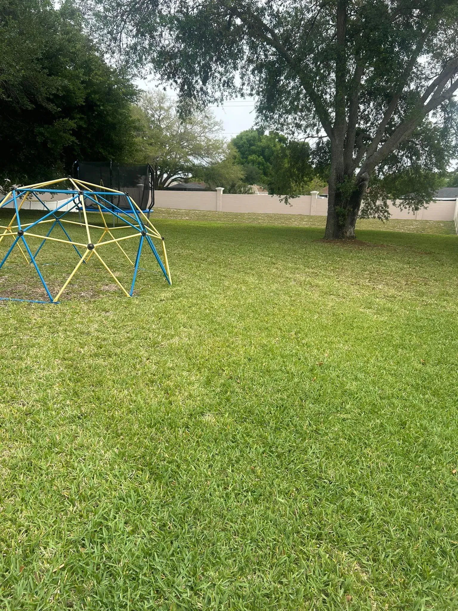 Fall and Spring Clean Up for Estrada All Pro Lawn Service in Auburndale, Florida