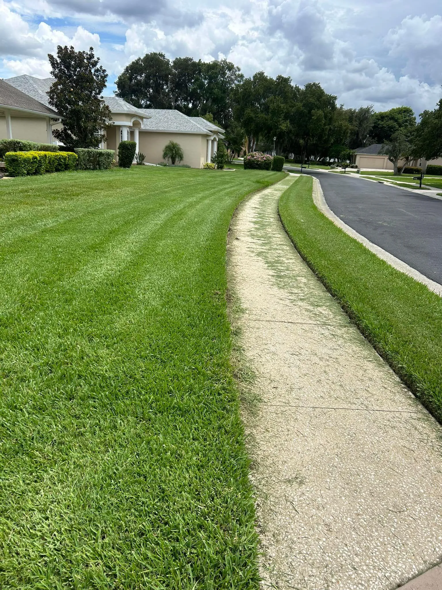 Fall and Spring Clean Up for Estrada All Pro Lawn Service in Auburndale, Florida