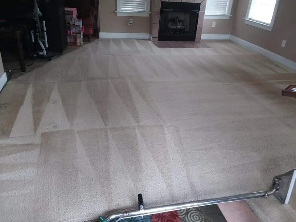 Carpet Cleaning for Steam Bros LLC in Greensboro, NC