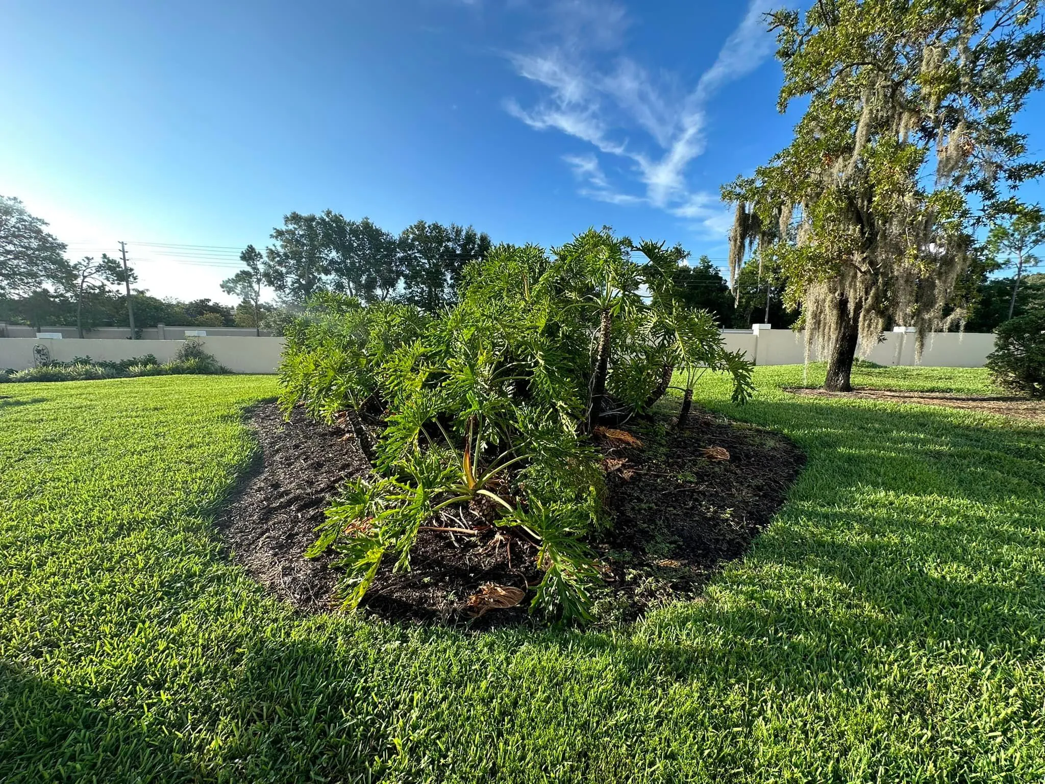 Fall and Spring Clean Up for Kramer & Son’s Property Maintenance in Hudson, FL