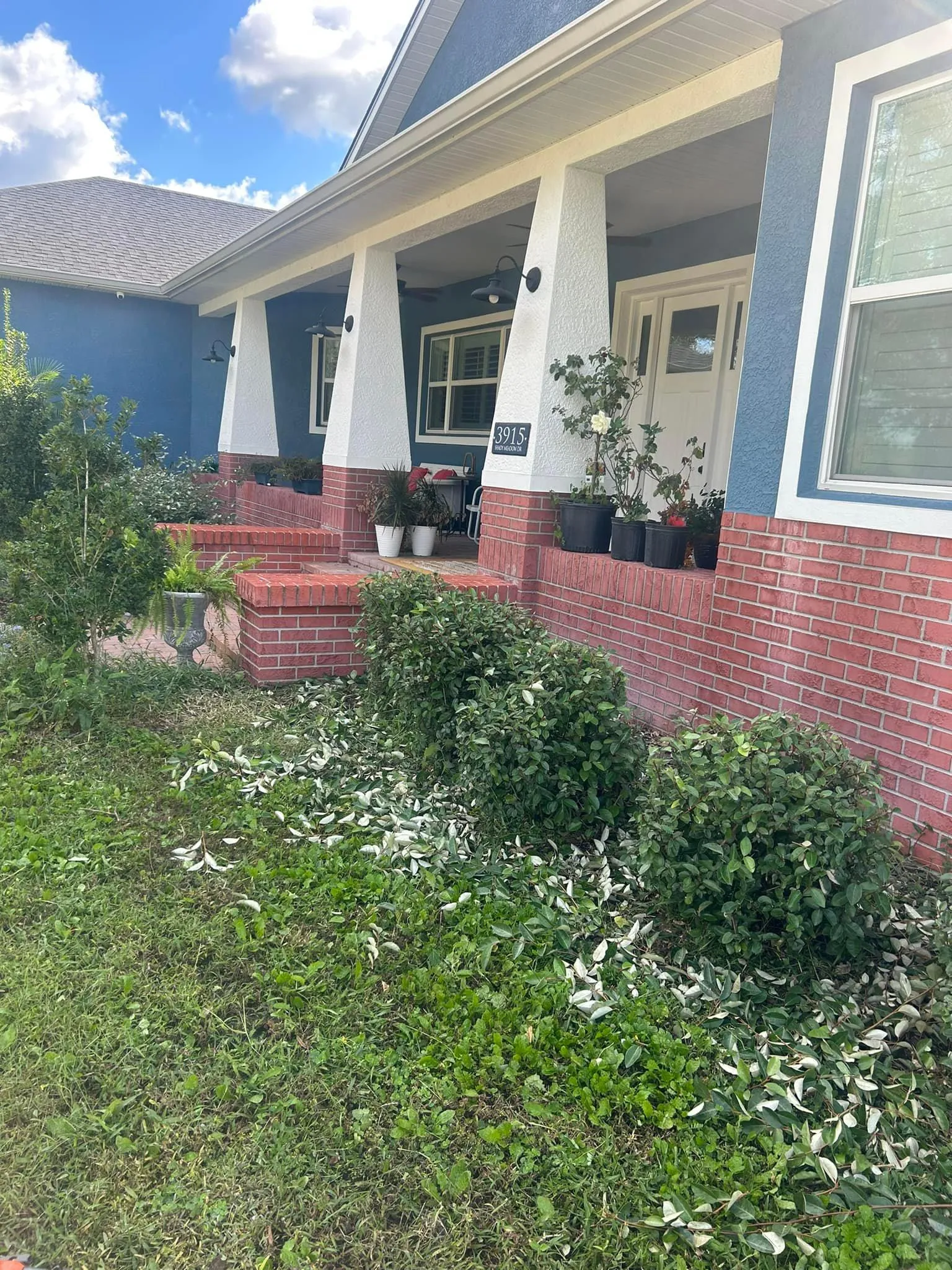 Fall and Spring Clean Up for Estrada All Pro Lawn Service in Auburndale, Florida