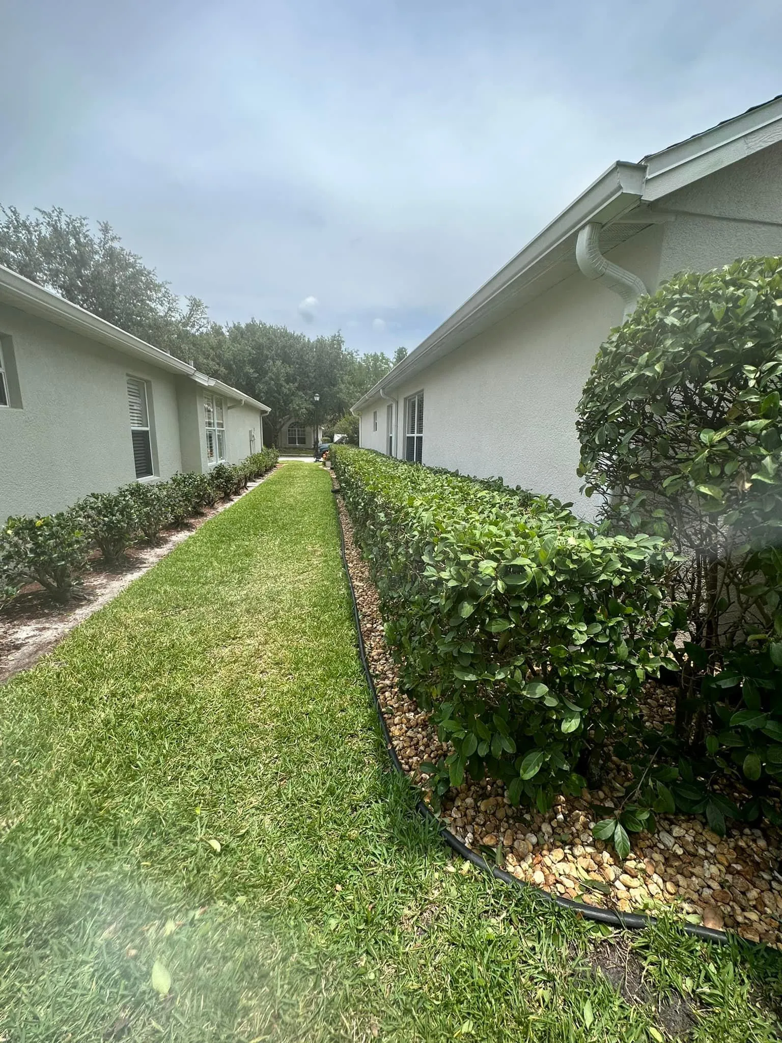 Fall and Spring Clean Up for Kramer & Son’s Property Maintenance in Hudson, FL