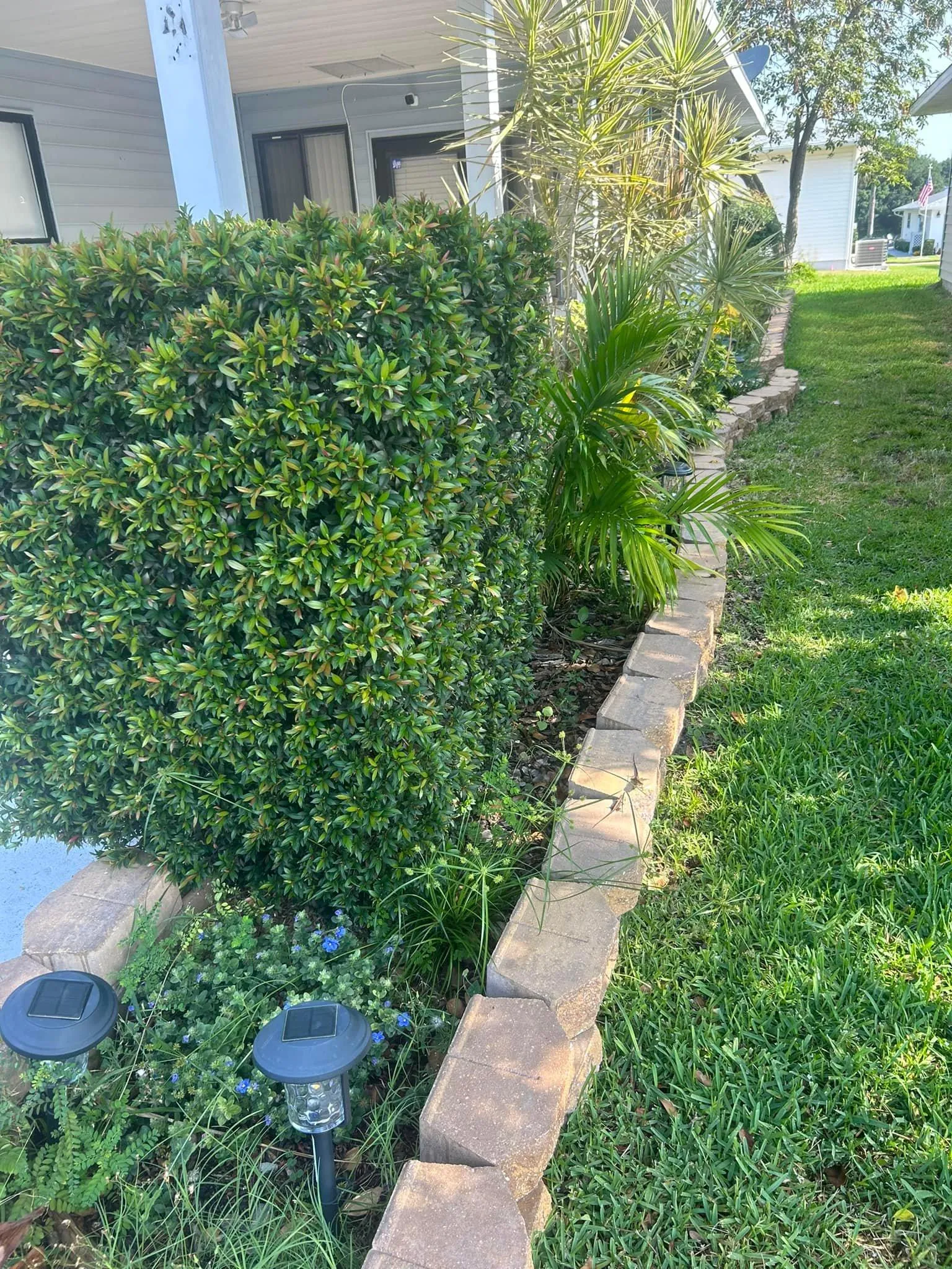 Fall and Spring Clean Up for Estrada All Pro Lawn Service in Auburndale, Florida