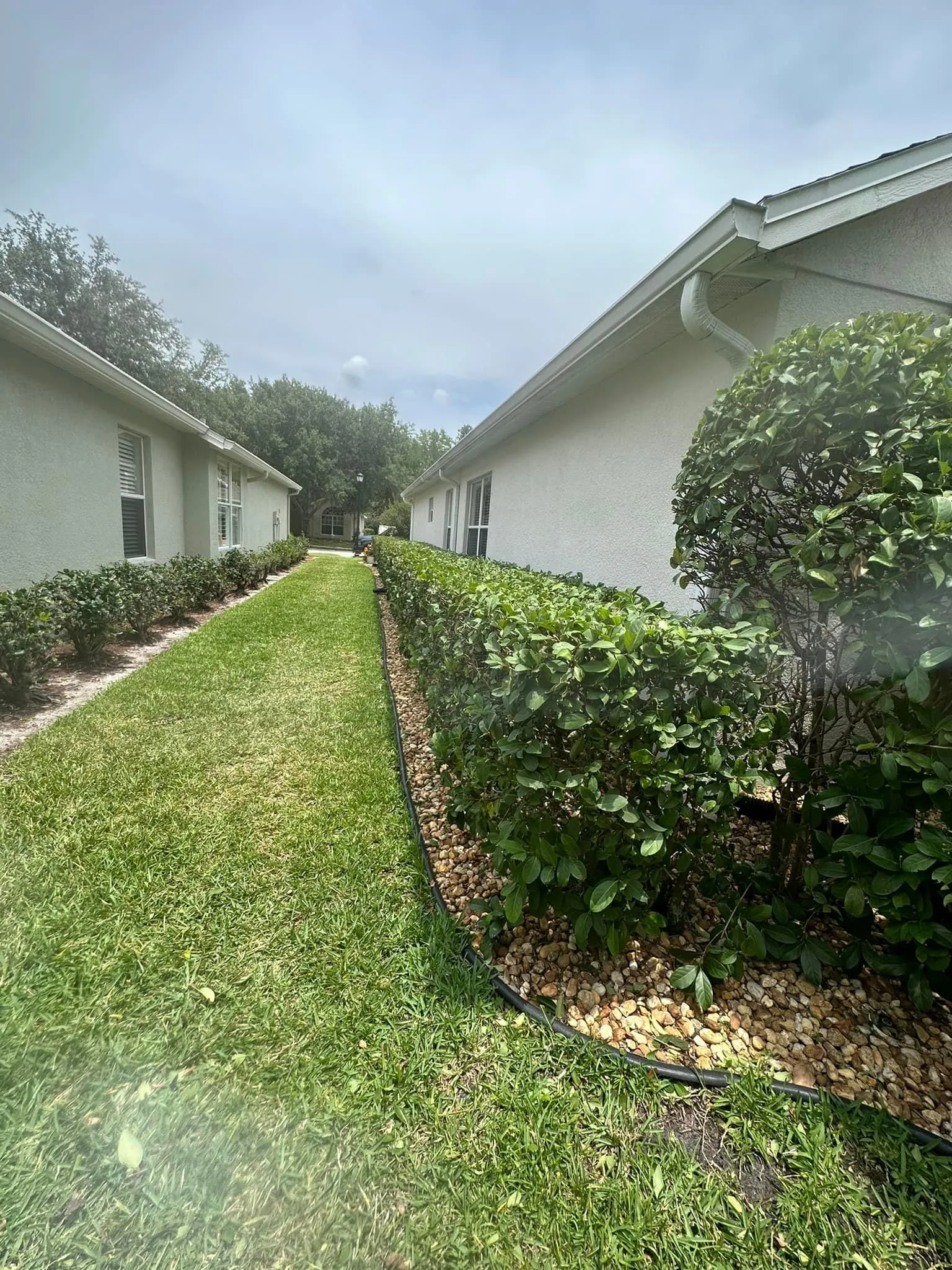 Fall and Spring Clean Up for Kramer & Son’s Property Maintenance in Hudson, FL