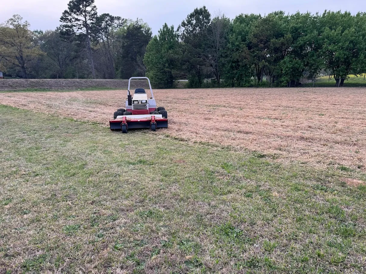 Land Clearing for Deeply Rooted Lawn Maintenance in Winder, GA