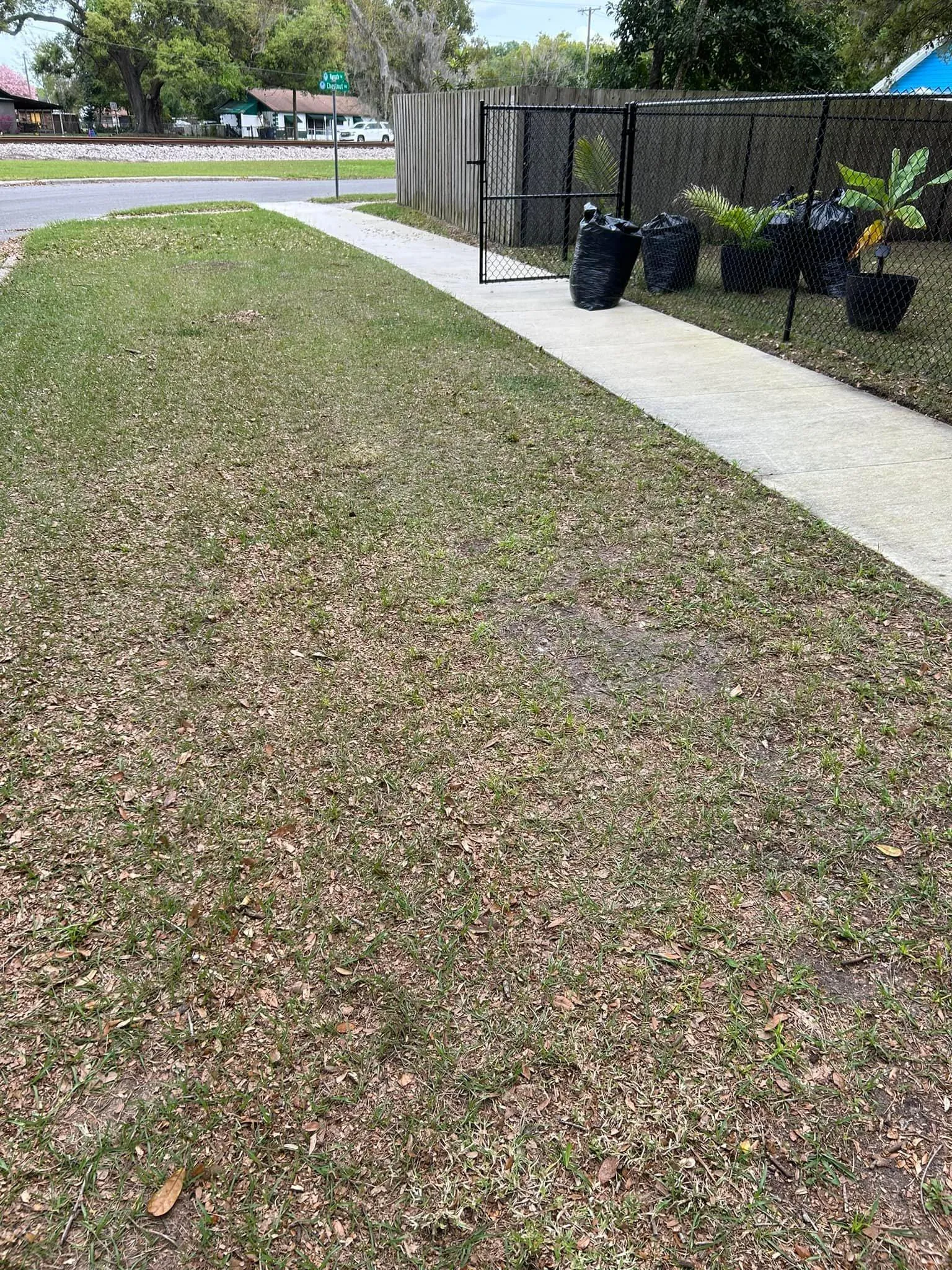 Fall and Spring Clean Up for Estrada All Pro Lawn Service in Auburndale, Florida