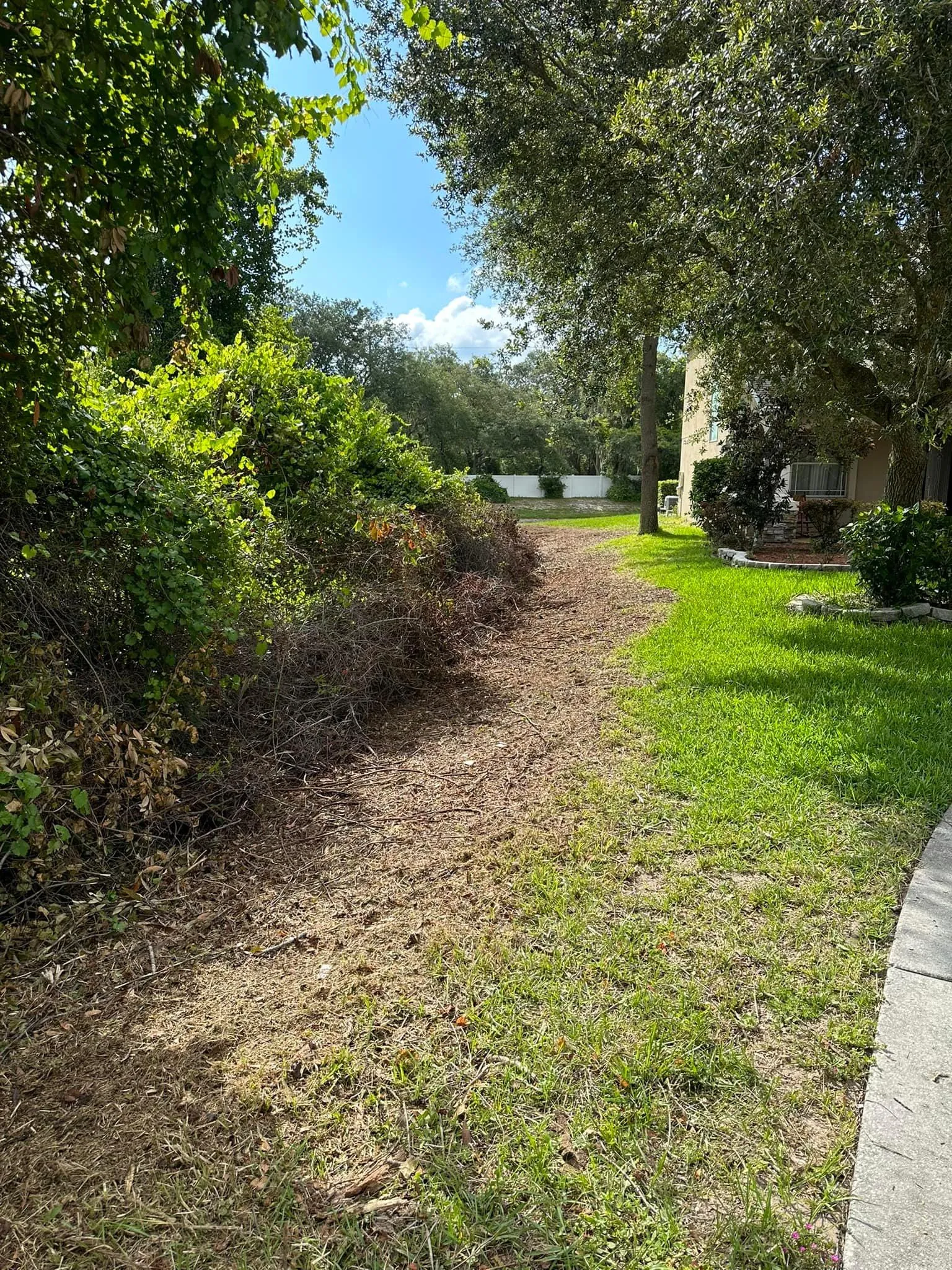 Fall and Spring Clean Up for Kramer & Son’s Property Maintenance in Hudson, FL