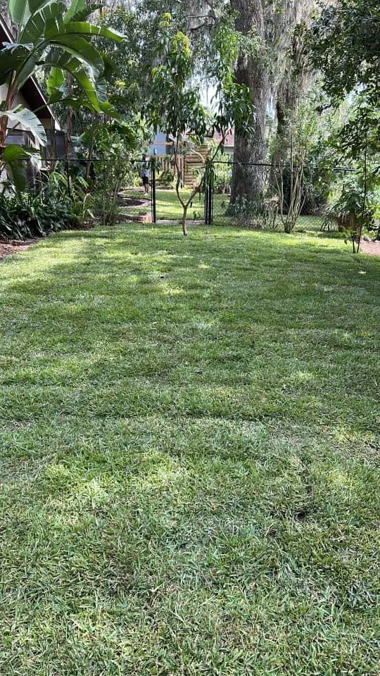 Fall and Spring Clean Up for Estrada All Pro Lawn Service in Auburndale, Florida