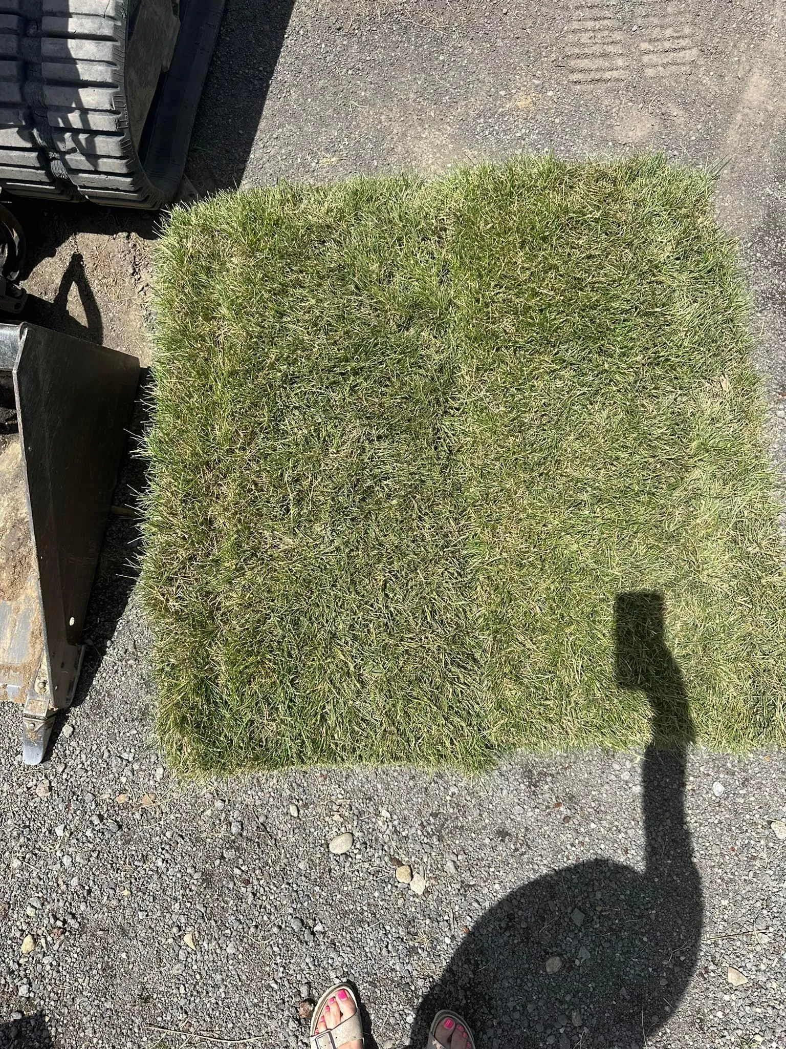 Maintenance Services for Norvell's Turf Management, Inc in Middletown, OH