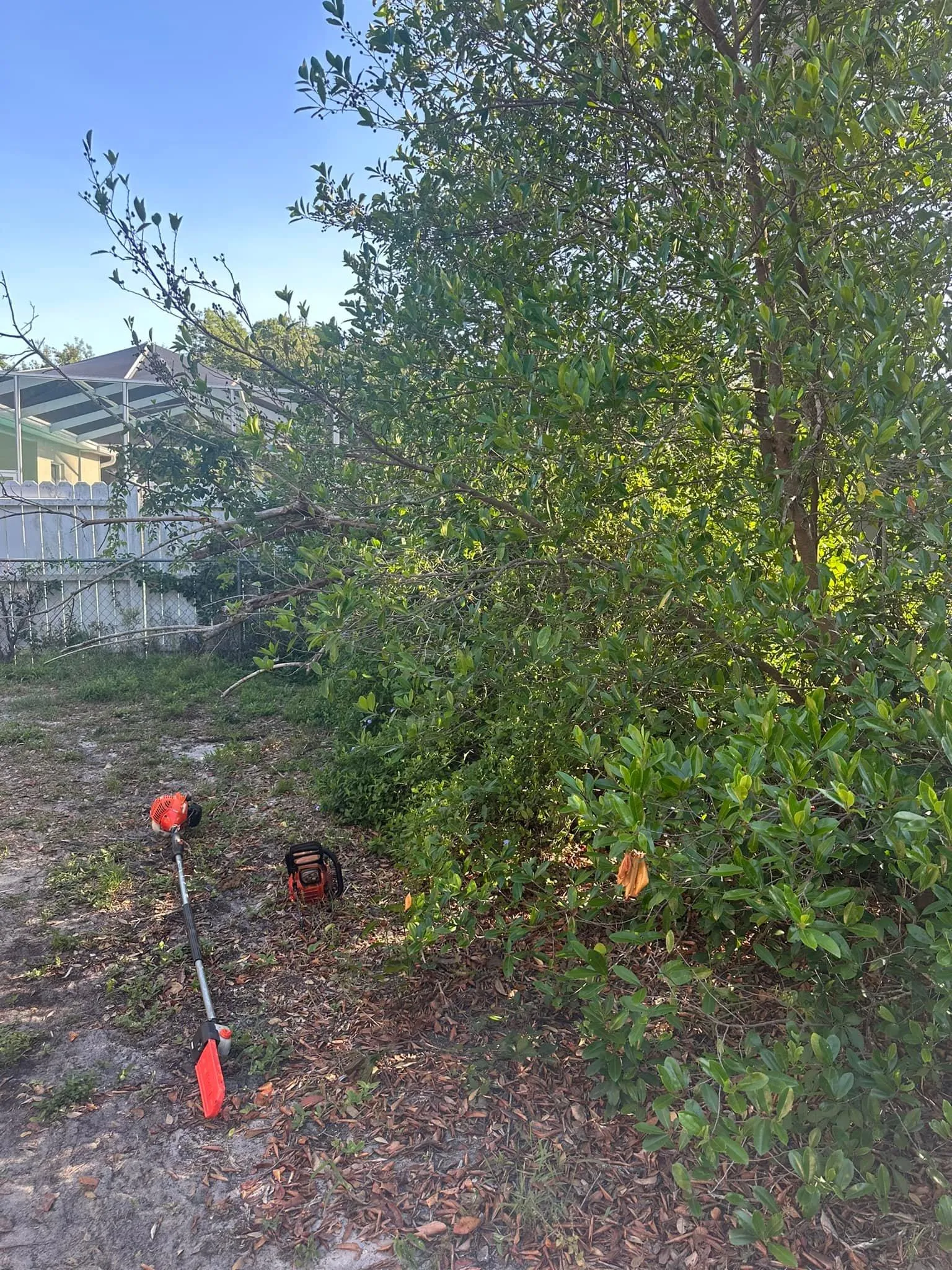 Fall and Spring Clean Up for Kramer & Son’s Property Maintenance in Hudson, FL